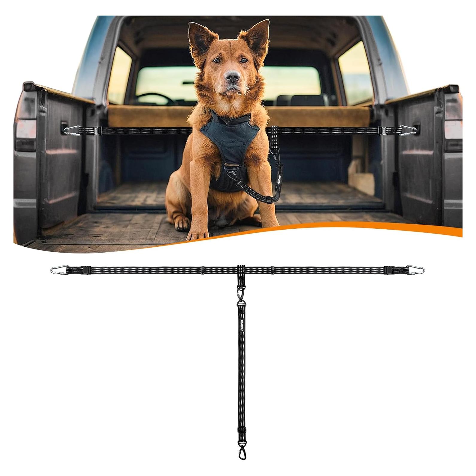 Correa de Seguridad para Perros PetBonus - Ajustable 49.5 a 66 cm
