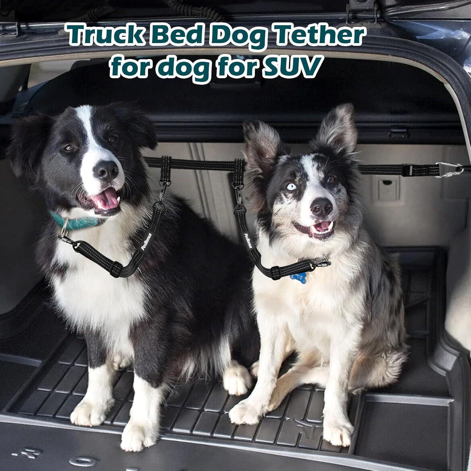 Correa de Seguridad para Perros PetBonus - Ajustable 49.5 a 66 cm