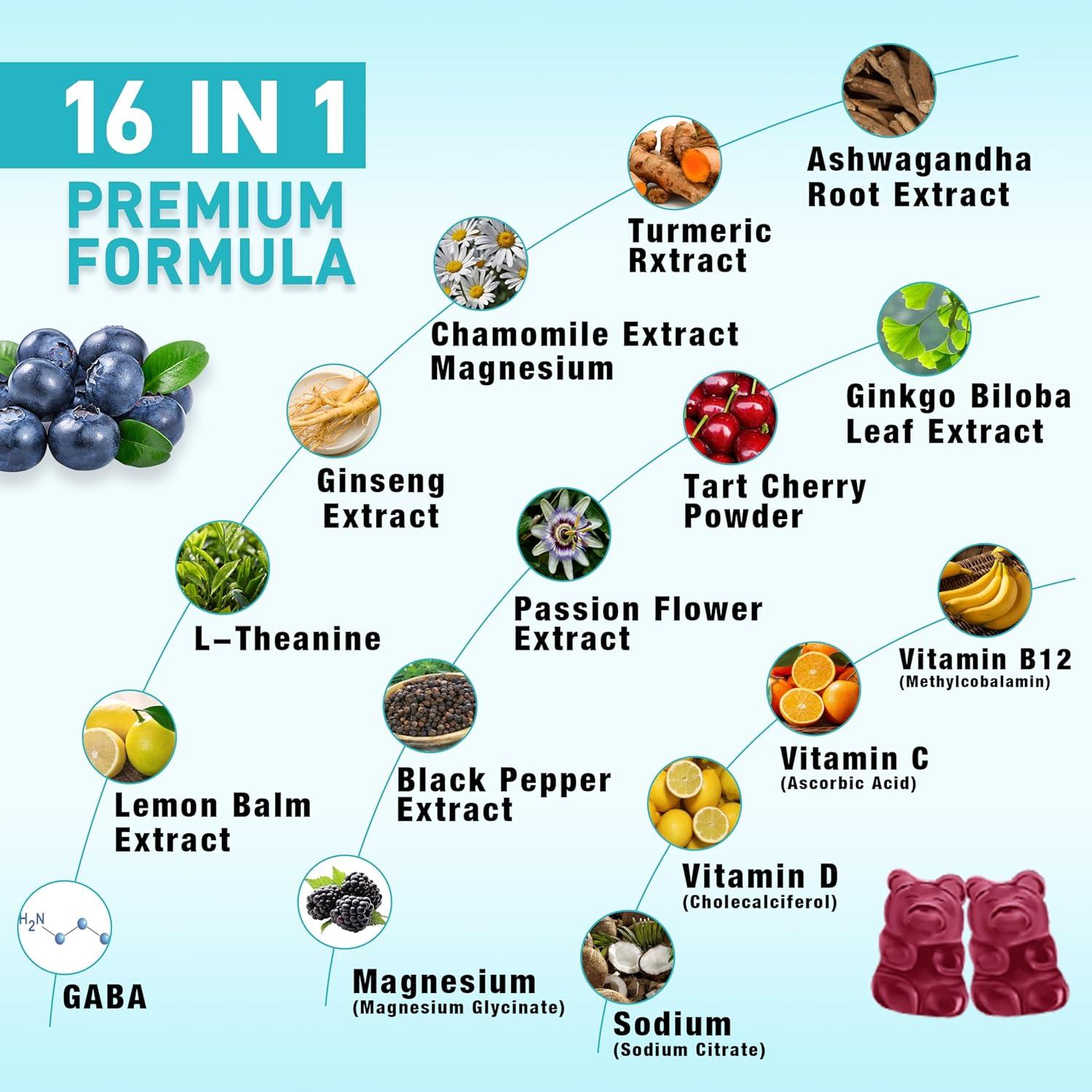 Gomitas de Ashwagandha Sijigood 60 Unidades Sabor Arándano