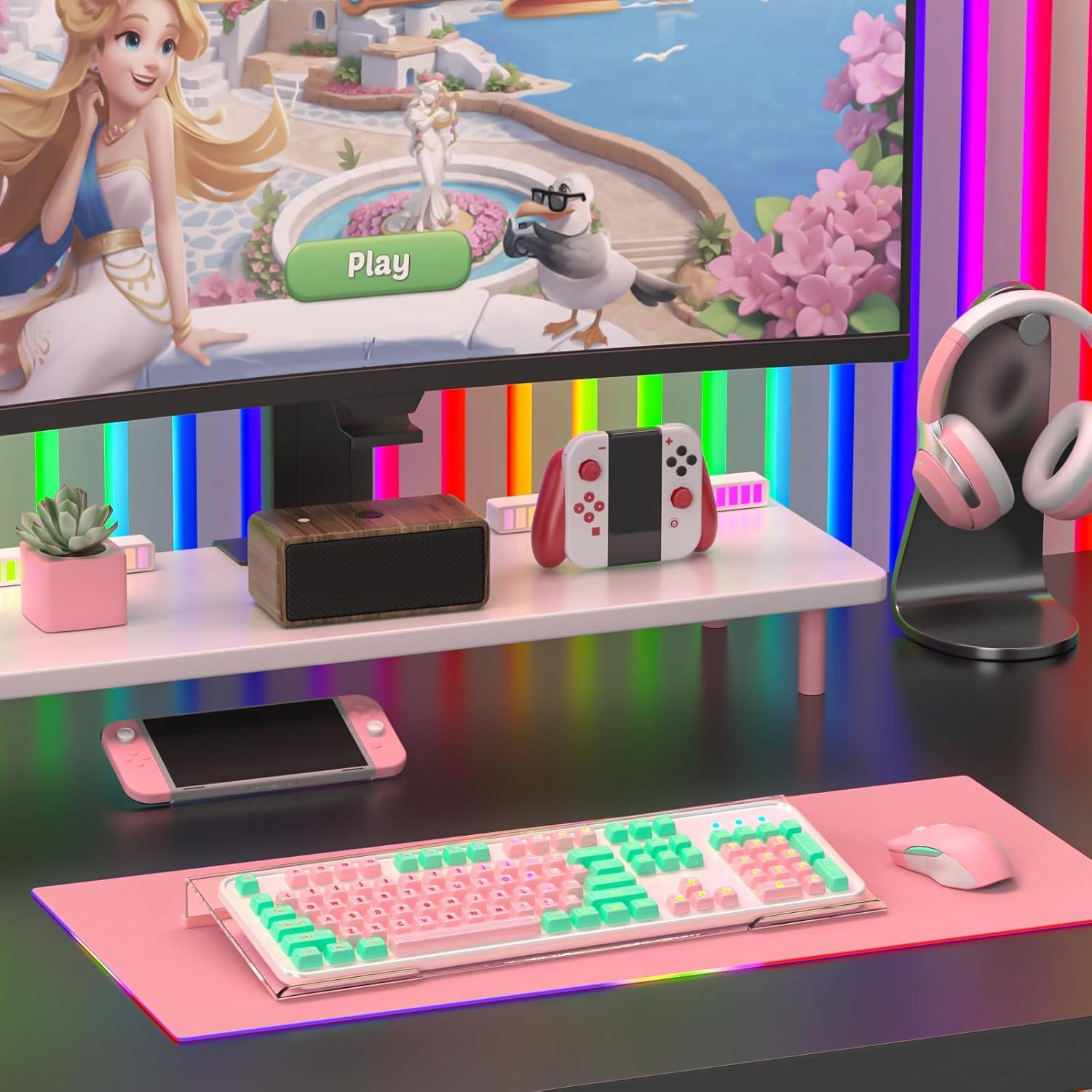 Soporte de Teclado Ergonómico Rulyyo 43.18 cm Transparente