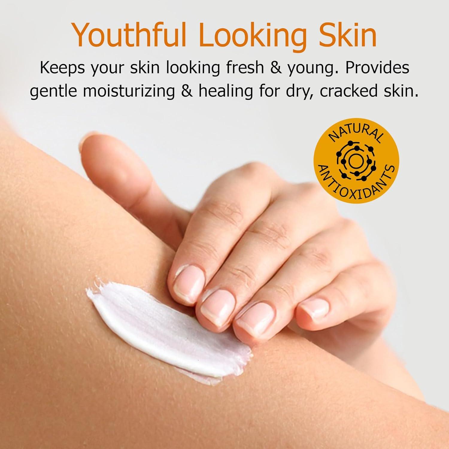 Loción de Vitamina E Fruit of the Earth 473 ml Hidratante