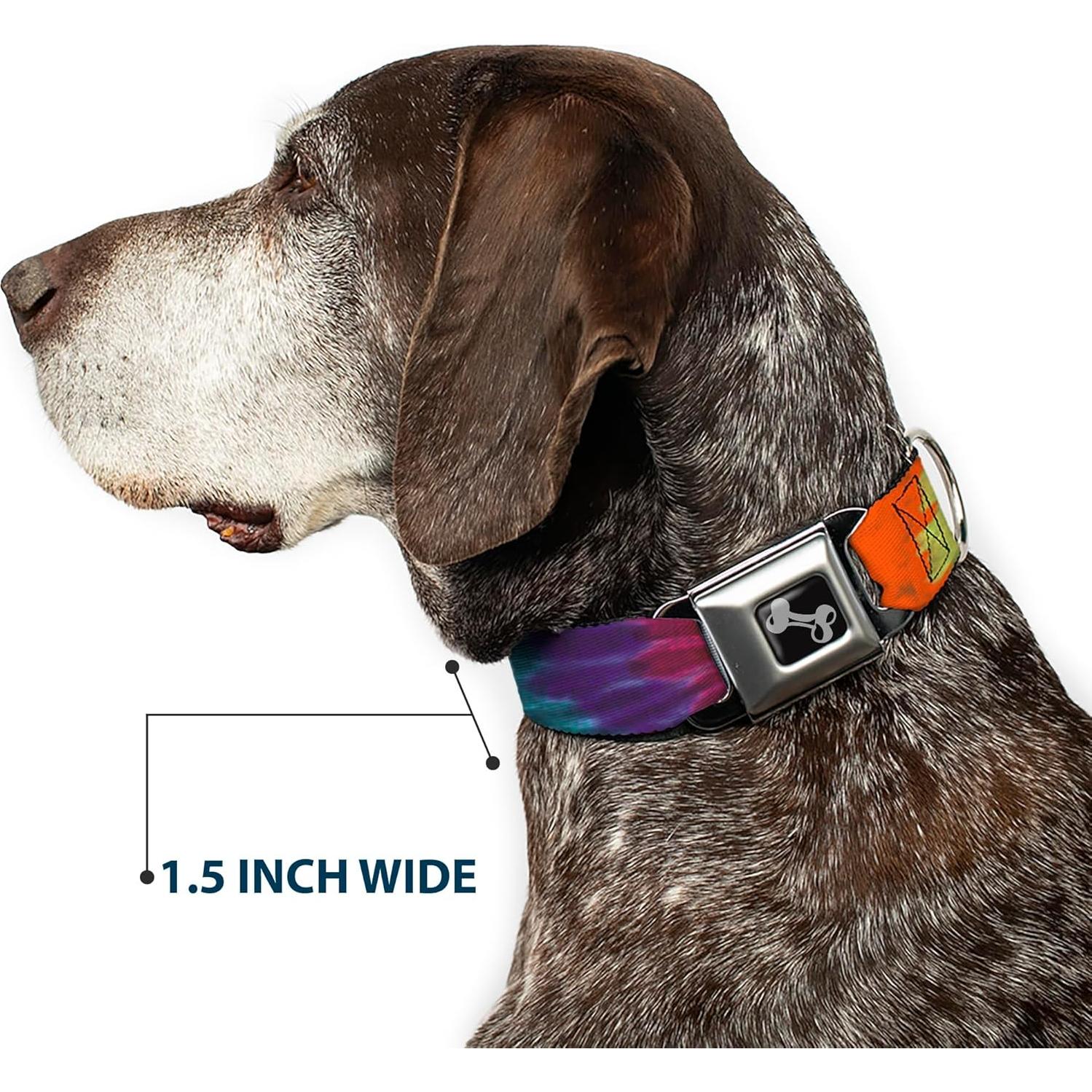 Collar de Perro Buckle-Down Tie Dye 1.0 cm Ancho 23-38 cm