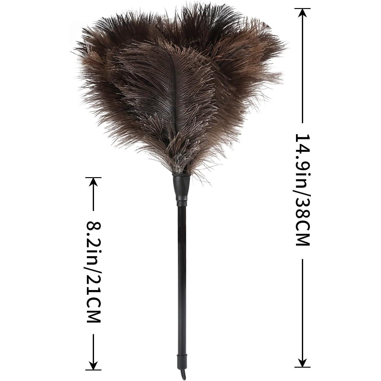 Plumero de Avestruz Daieeparty 37.8 cm Mango Plástico