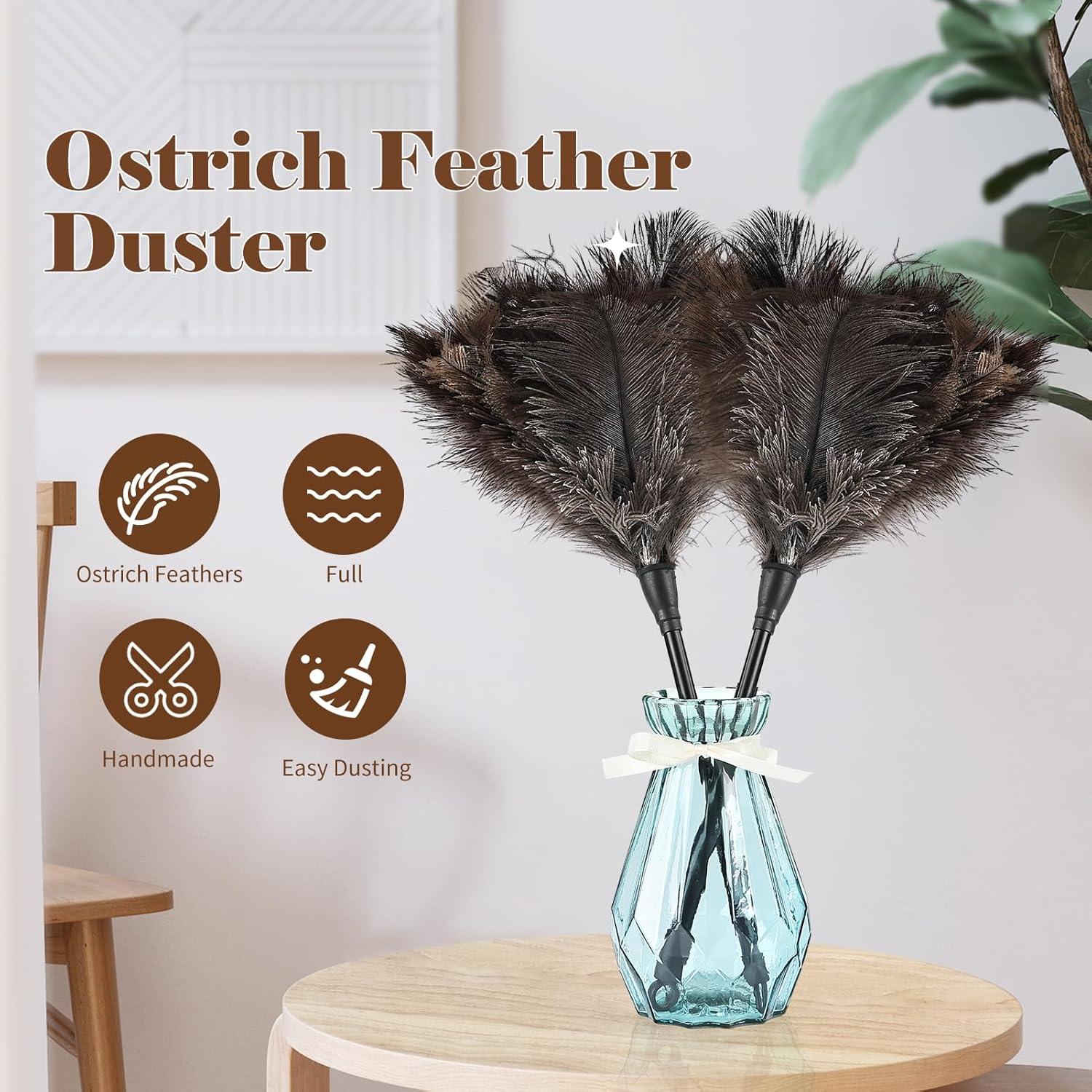 Plumero de Avestruz Daieeparty 37.8 cm Mango Plástico