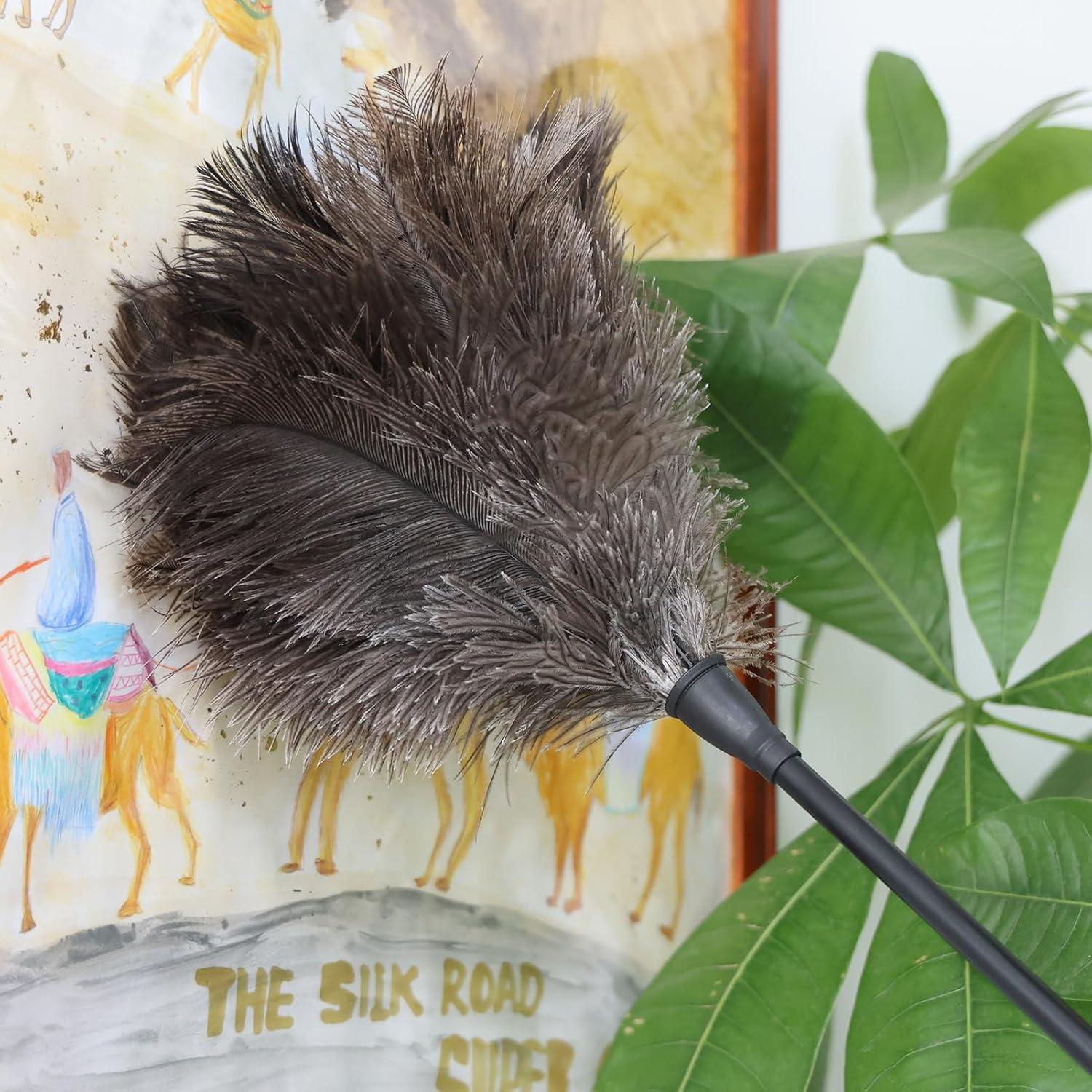 Plumero de Avestruz Daieeparty 37.8 cm Mango Plástico