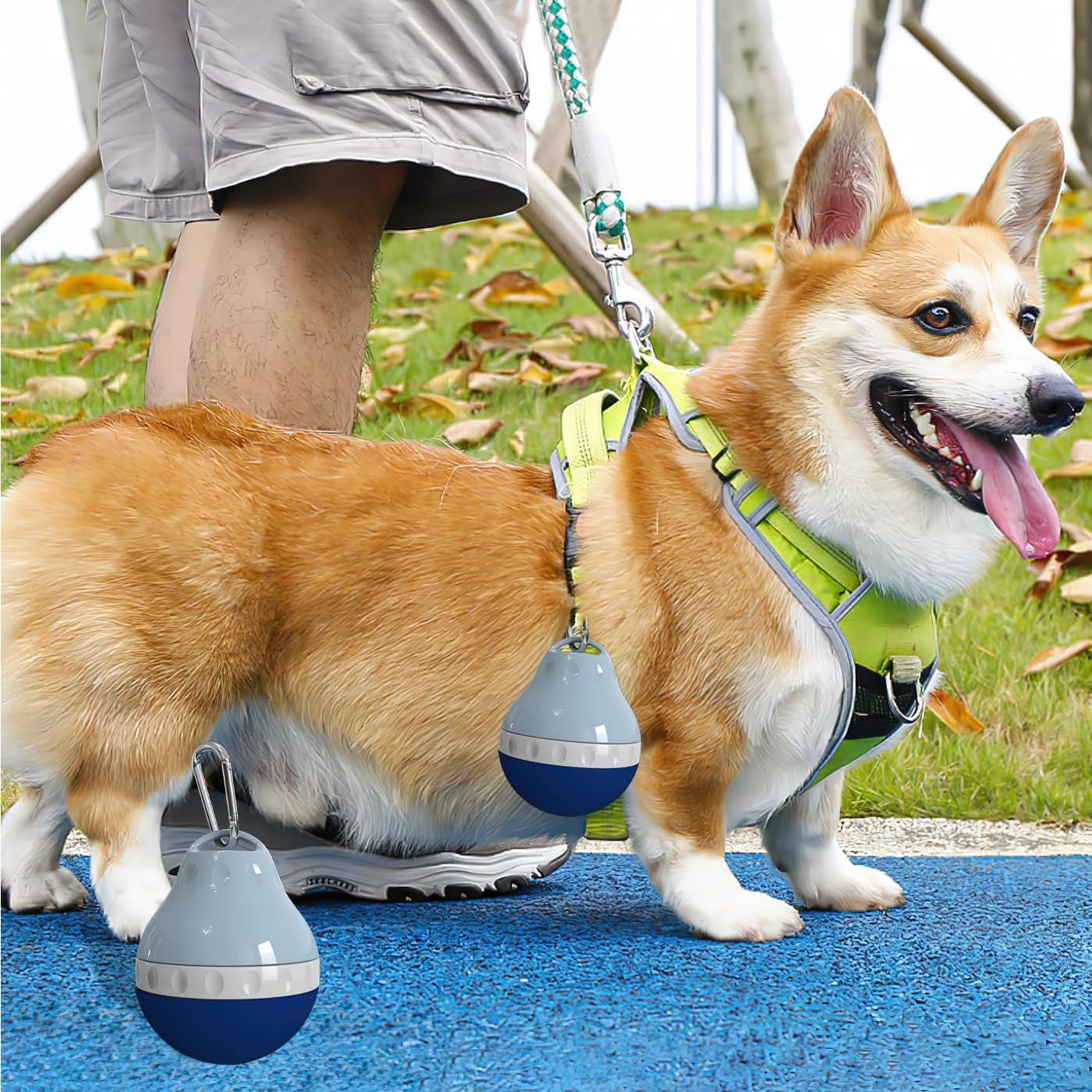 Botella de Agua para Perros Zazoot 200ml Plegable a Prueba de Fugas