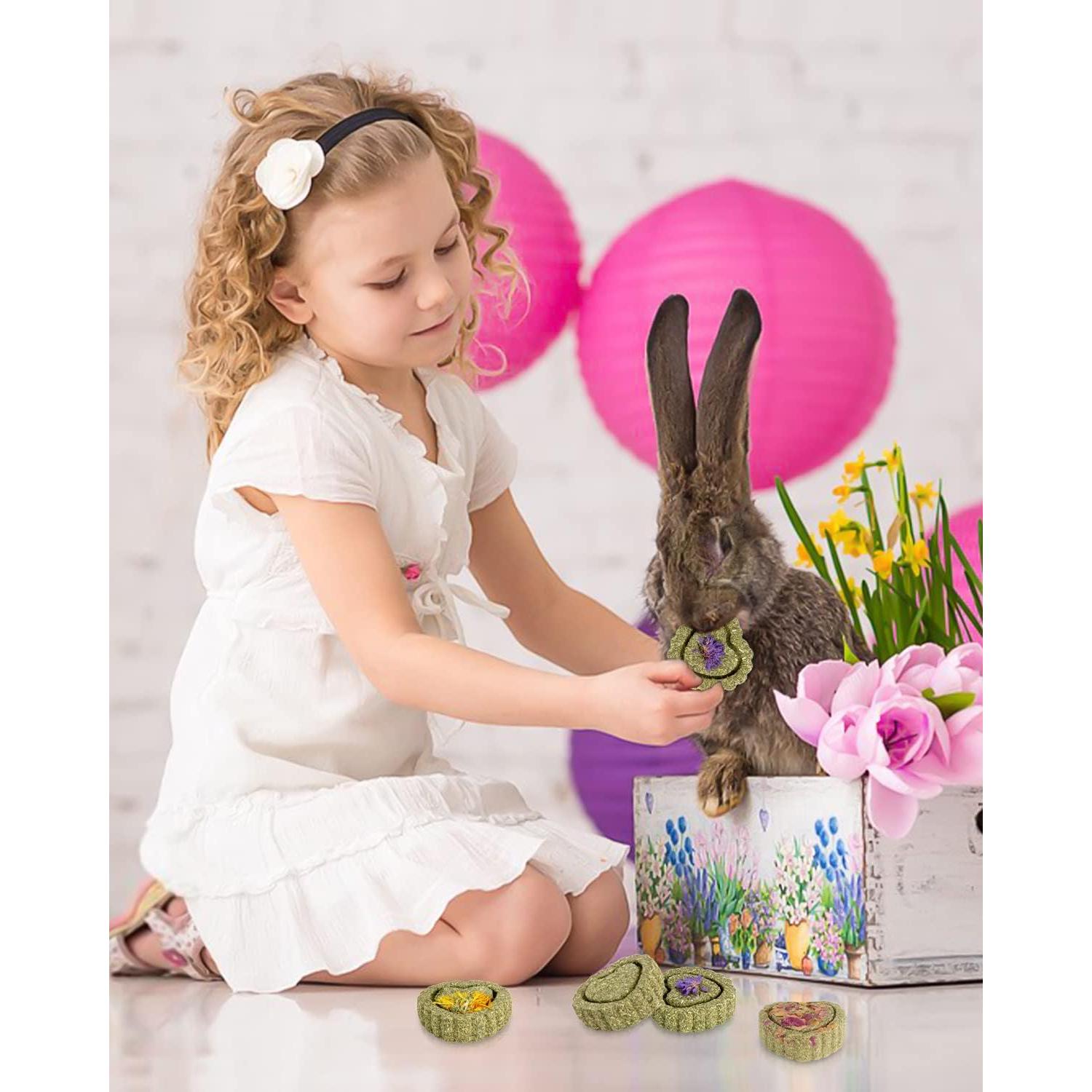 Golosinas de Heno Timothy Sofier 12 Piezas para Roedores