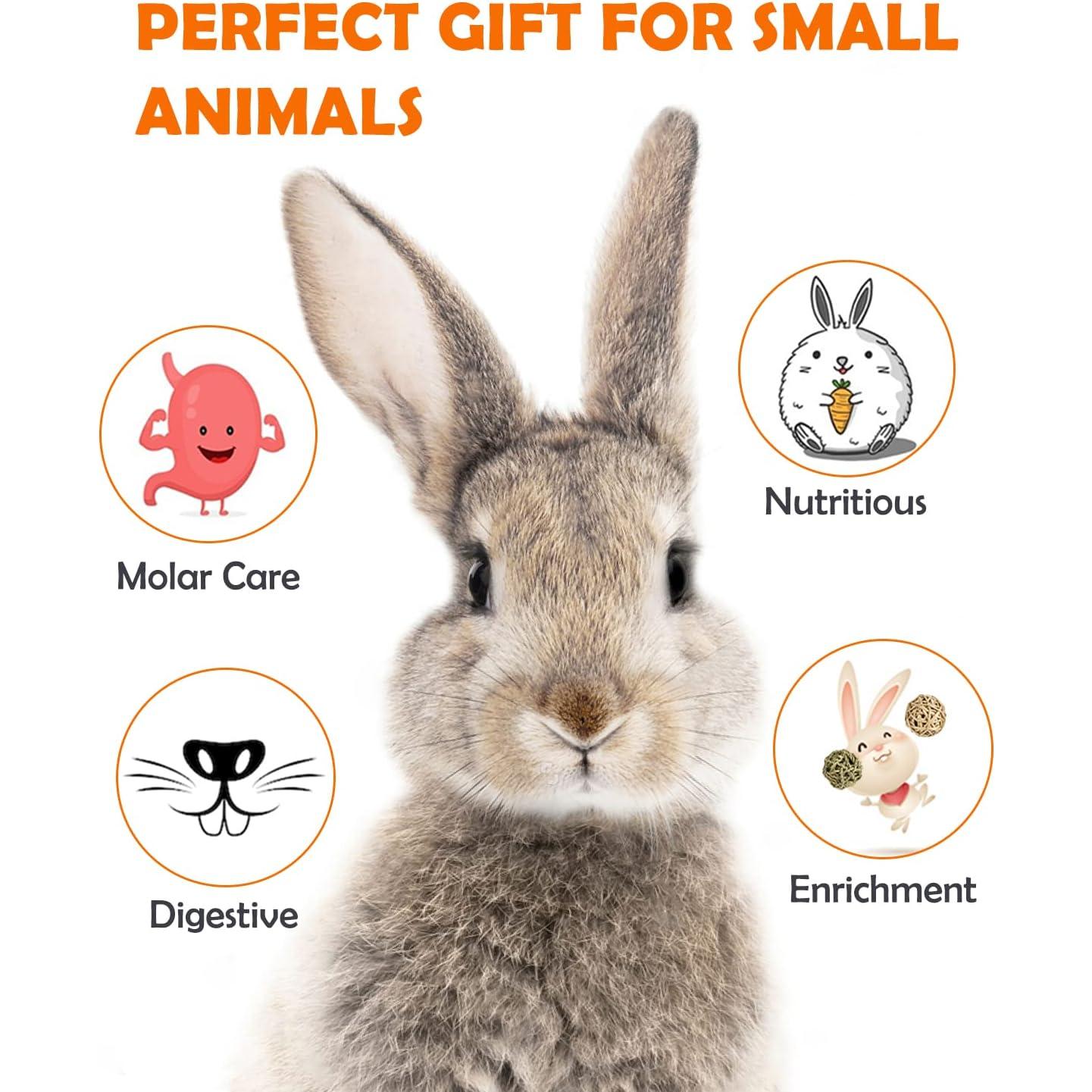 Golosinas de Heno Timothy Sofier 12 Piezas para Roedores