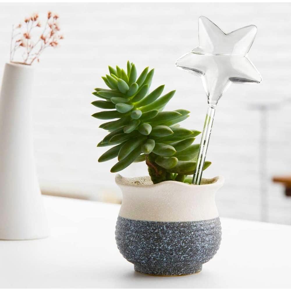 Globo de Riego Automático Yahpetes 10 Unidades 89ml