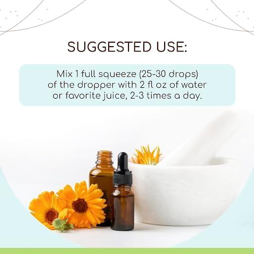 Extracto de Melisa Sin Alcohol Herbera 59 ml - Gotas Naturales