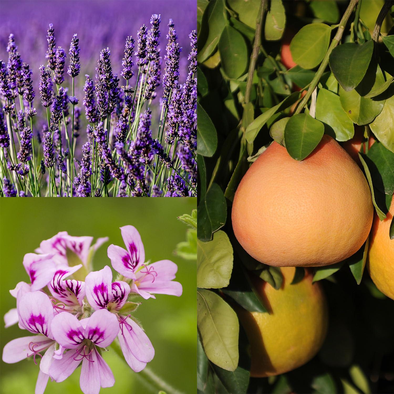 Jabón Natural de Geranio y Pomelo Seattle Sundries - 3x113g