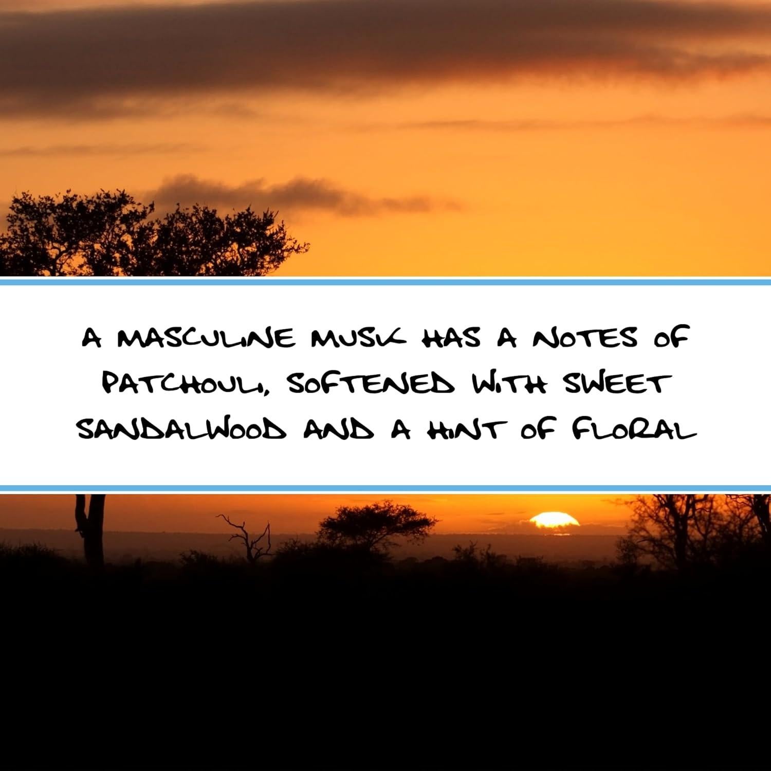 Jabón Corporal de Leche de Cabra Bluebyrd Musgo Africano 130g