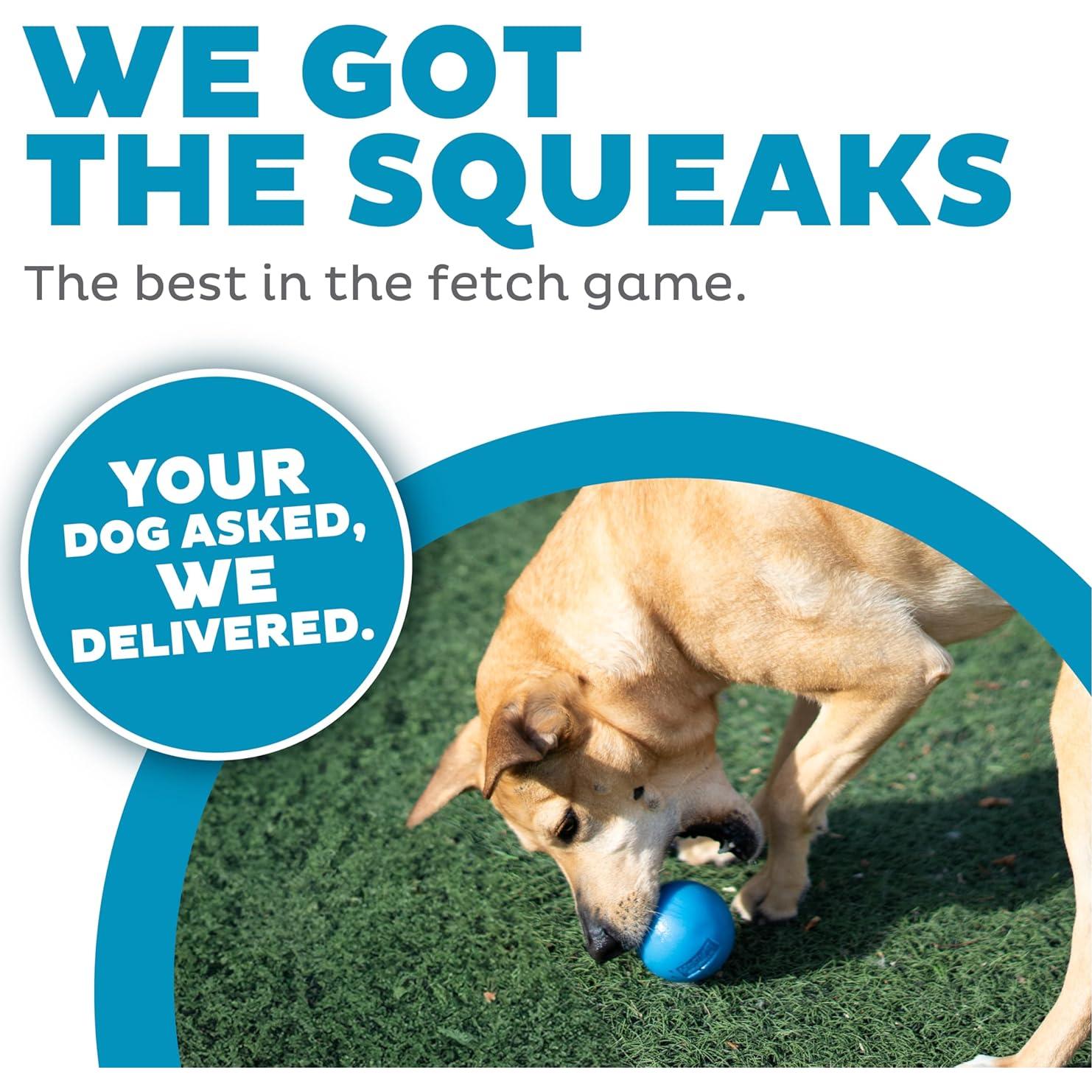 Pelota Squeak Mediana Outward Hound Azul para Perros