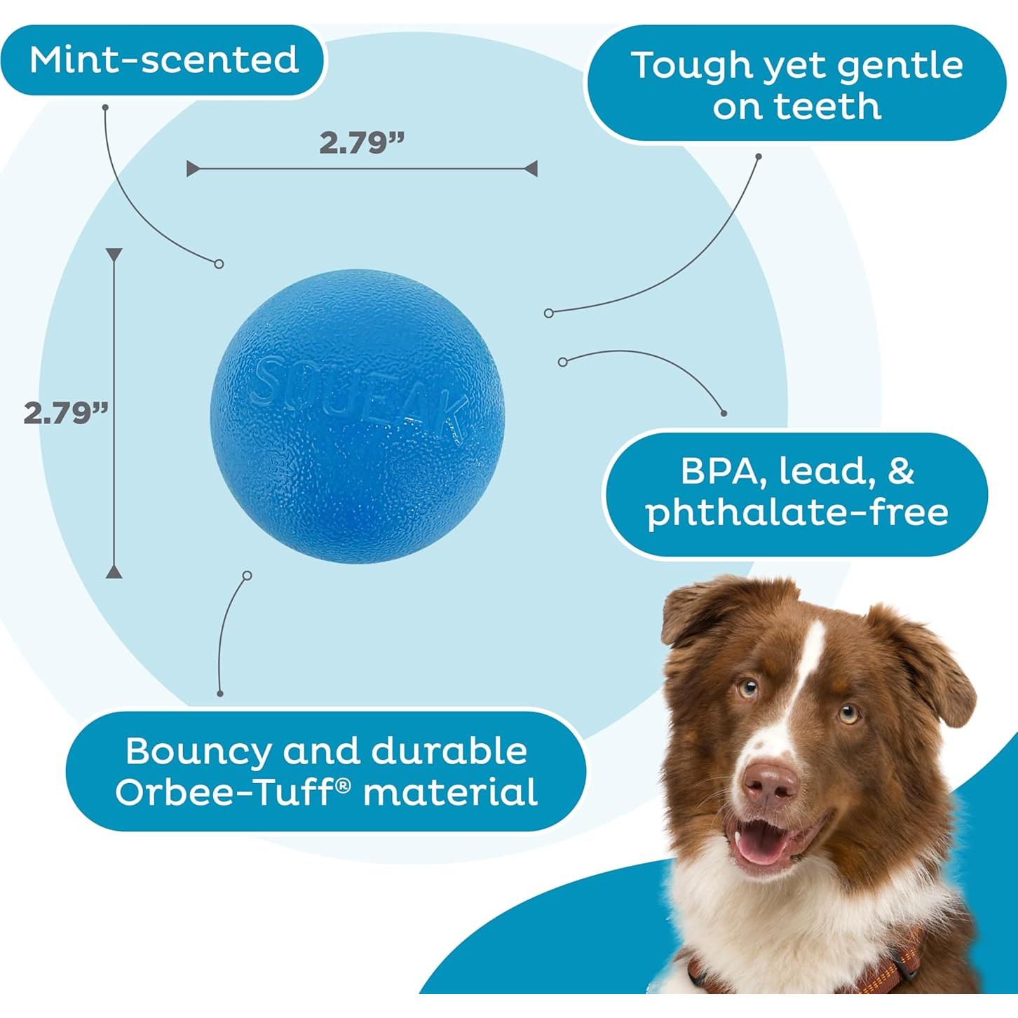 Pelota Squeak Mediana Outward Hound Azul para Perros