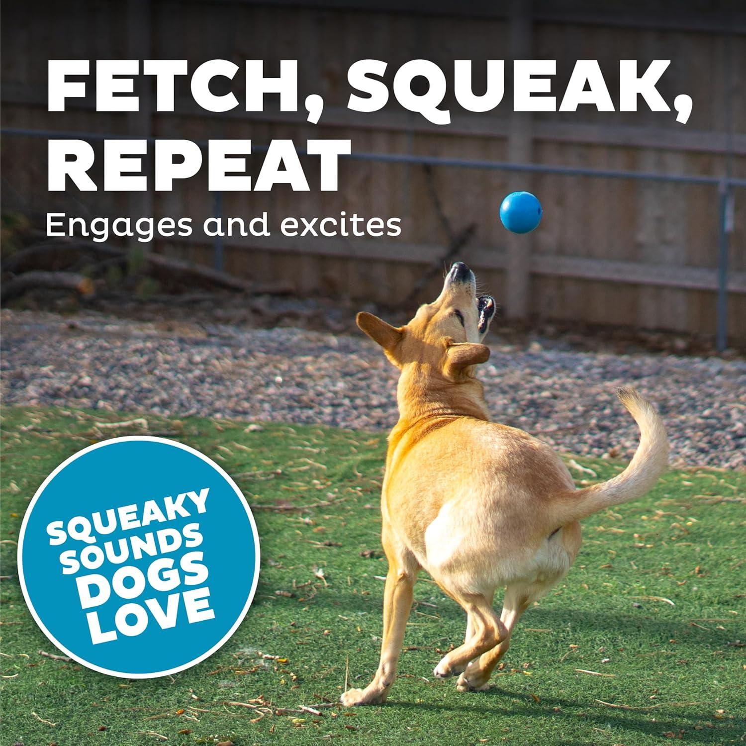 Pelota Squeak Mediana Outward Hound Azul para Perros