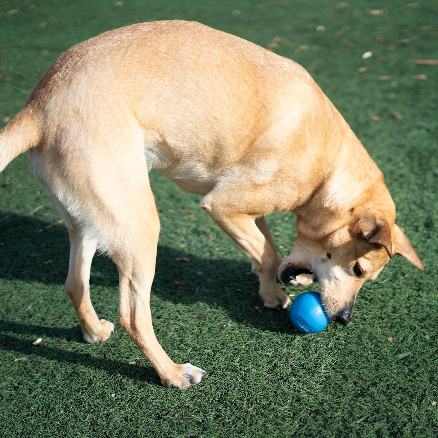 Pelota Squeak Mediana Outward Hound Azul para Perros