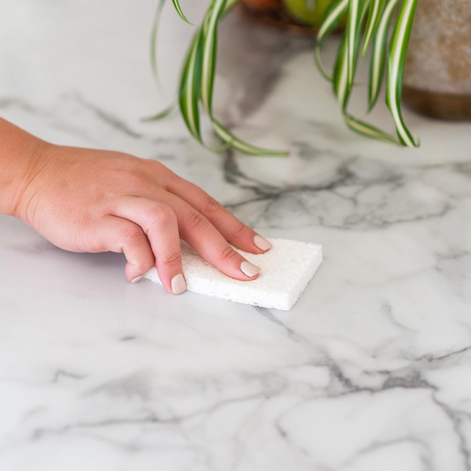 Esponjas de Celulosa Natural Full Circle Plain Jane - Paquete de 8