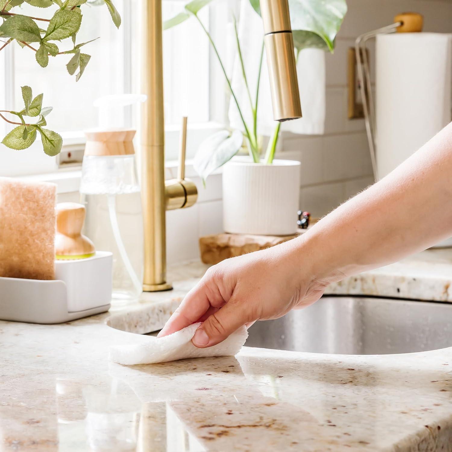 Esponjas de Celulosa Natural Full Circle Plain Jane - Paquete de 8