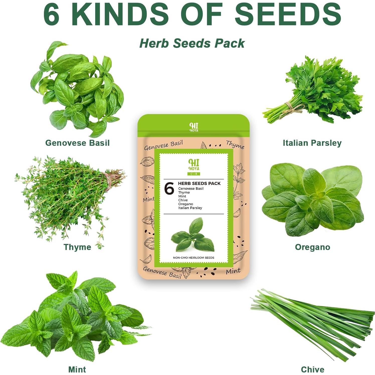 Kit de Cápsulas de Semillas de Hierbas Gourmet HiHOYA 14POD