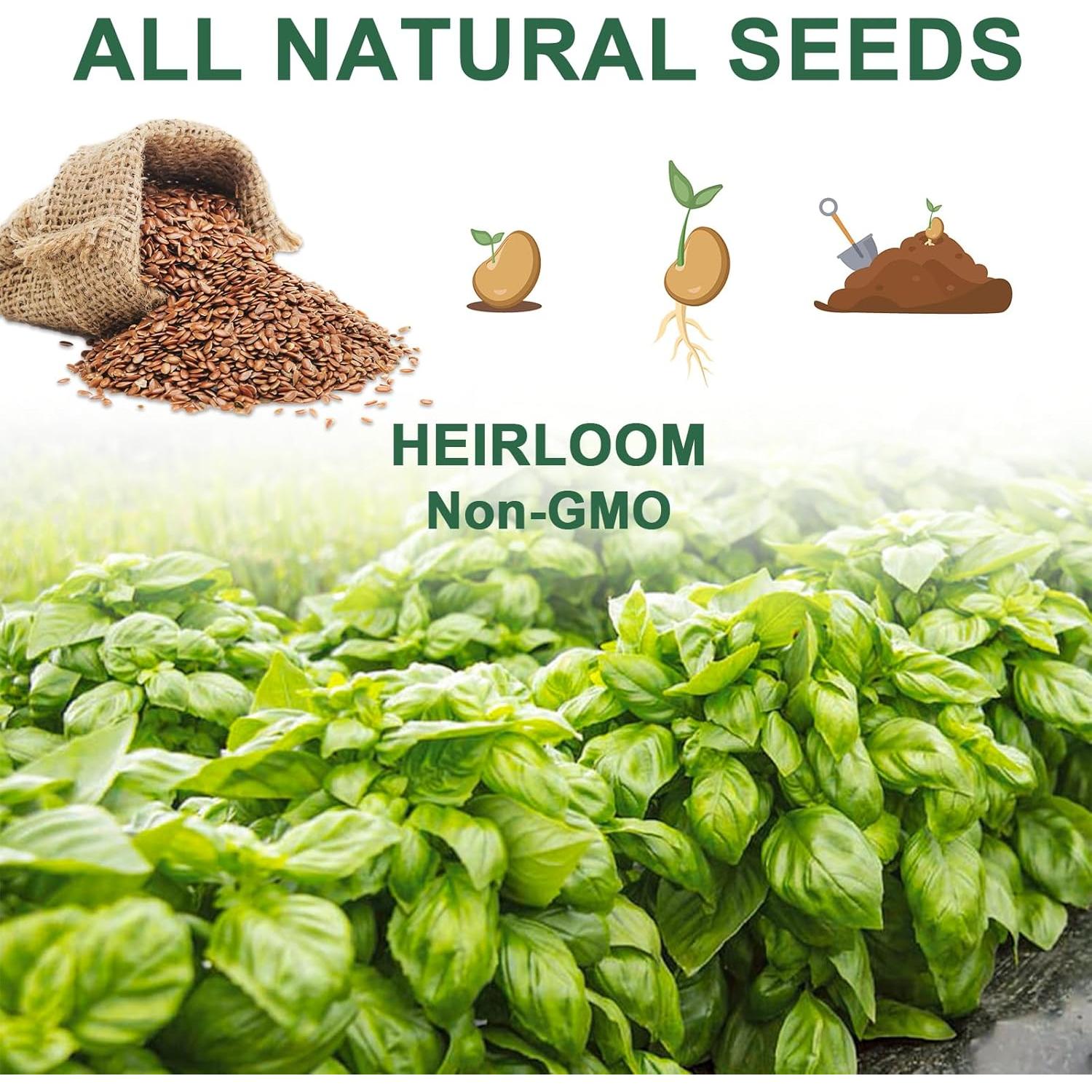 Kit de Cápsulas de Semillas de Hierbas Gourmet HiHOYA 14POD