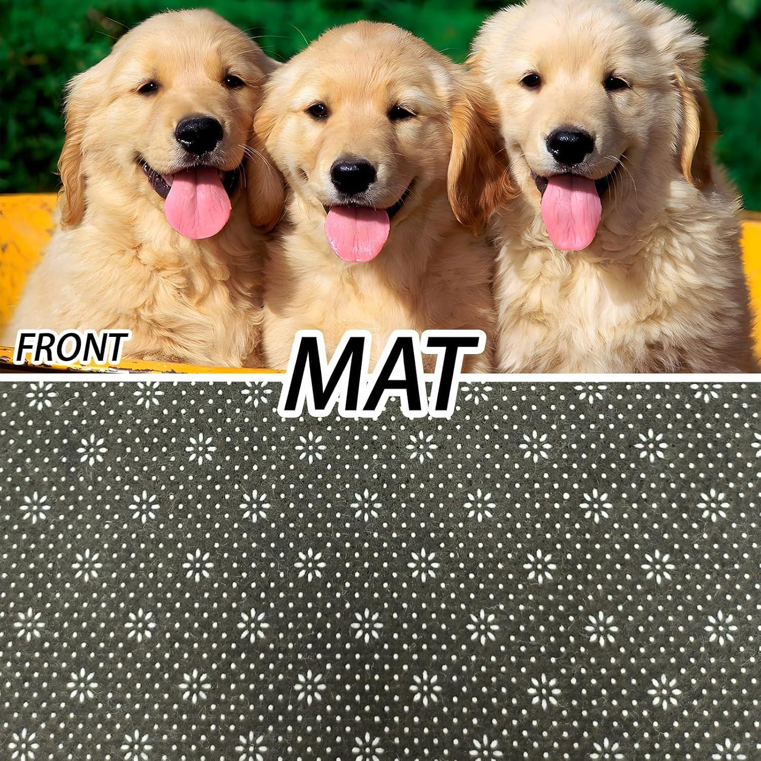 Alfombra de Entrada VANZEV 43x75 cm Antideslizante Colorida