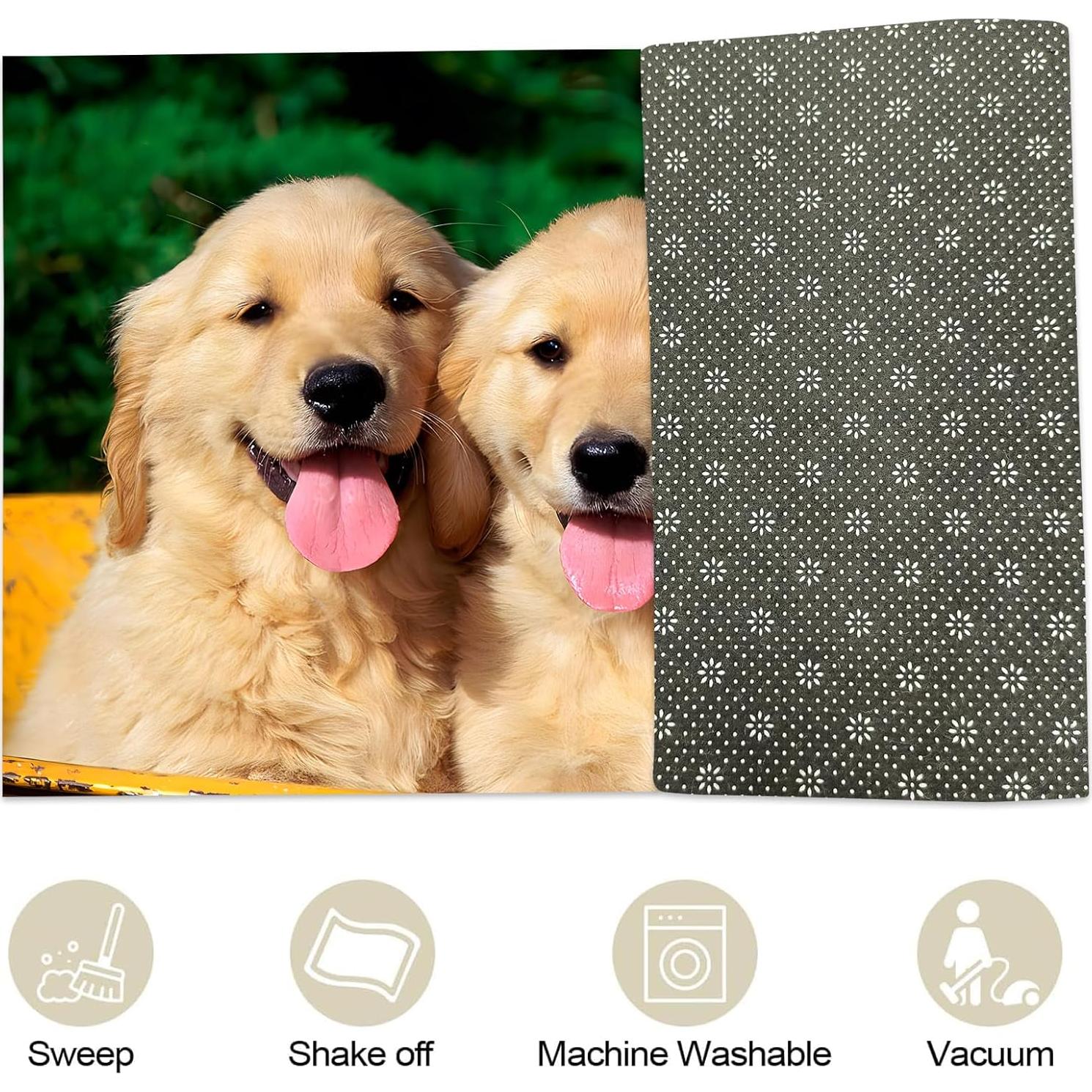 Alfombra de Entrada VANZEV 43x75 cm Antideslizante Colorida