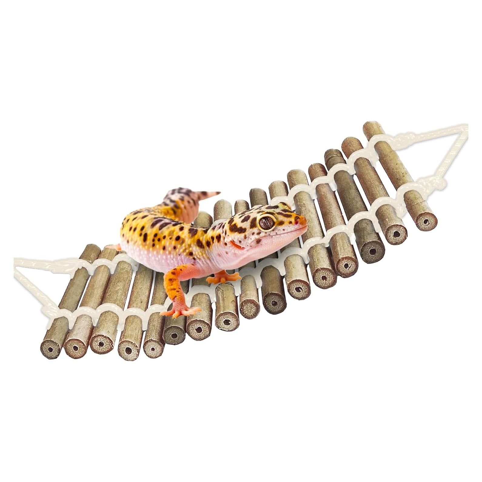 Puente de Escalada de Bambú SunGrow 46x10.5 cm para Geckos