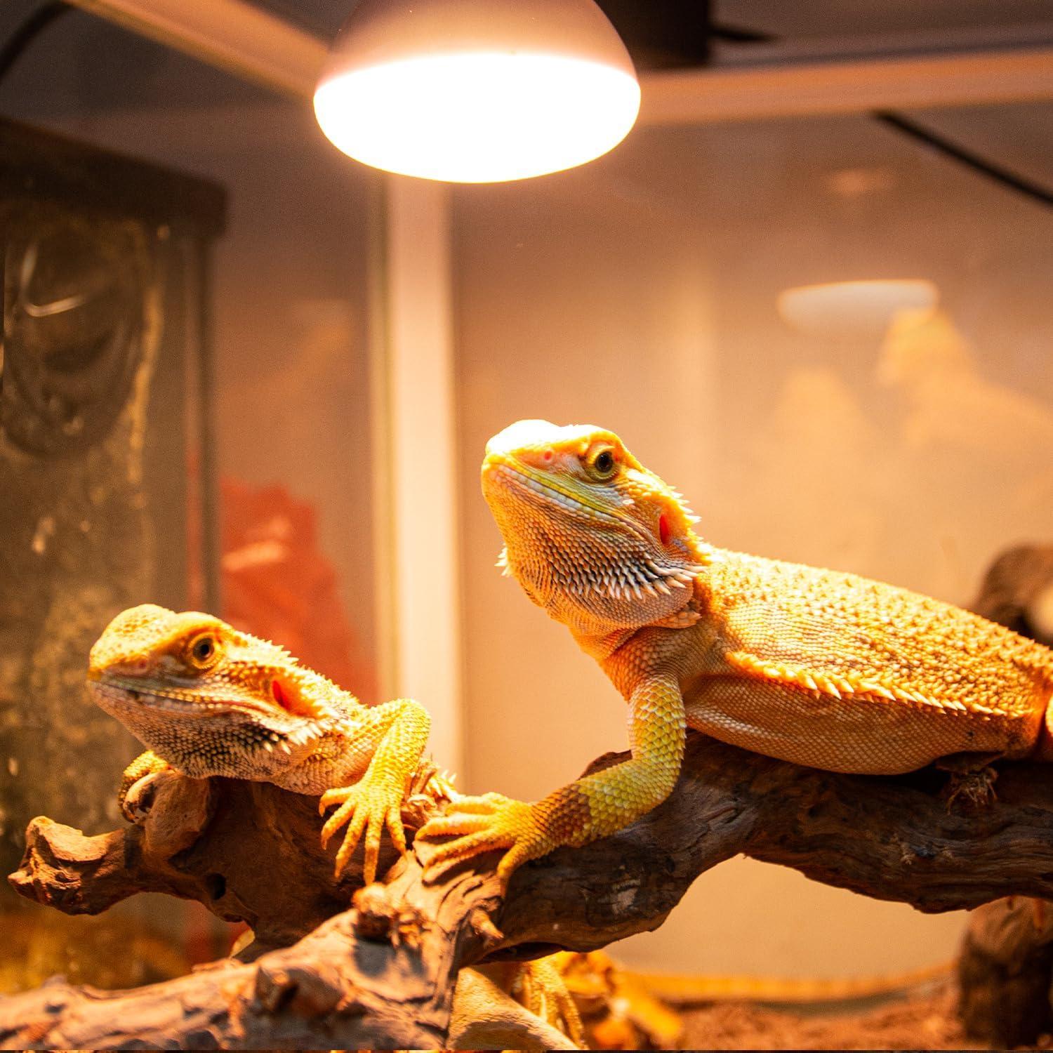 Lámpara de Calor UVA para Reptiles REPTIZOO 50W Paquete de 2