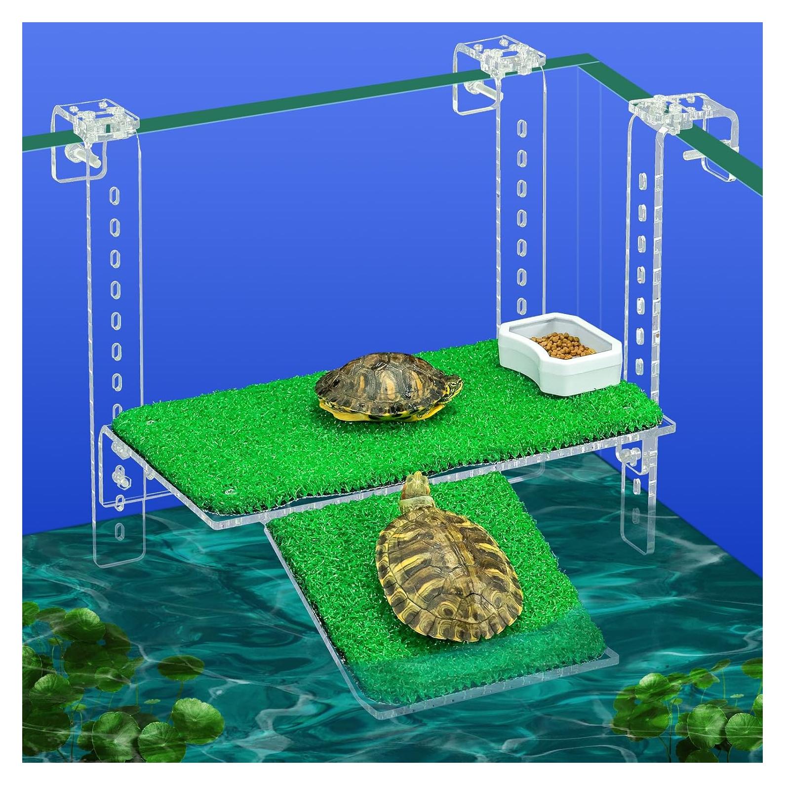 Muelle Colgante para Tortugas Bluecoco 27.94x14.73 cm Transparente