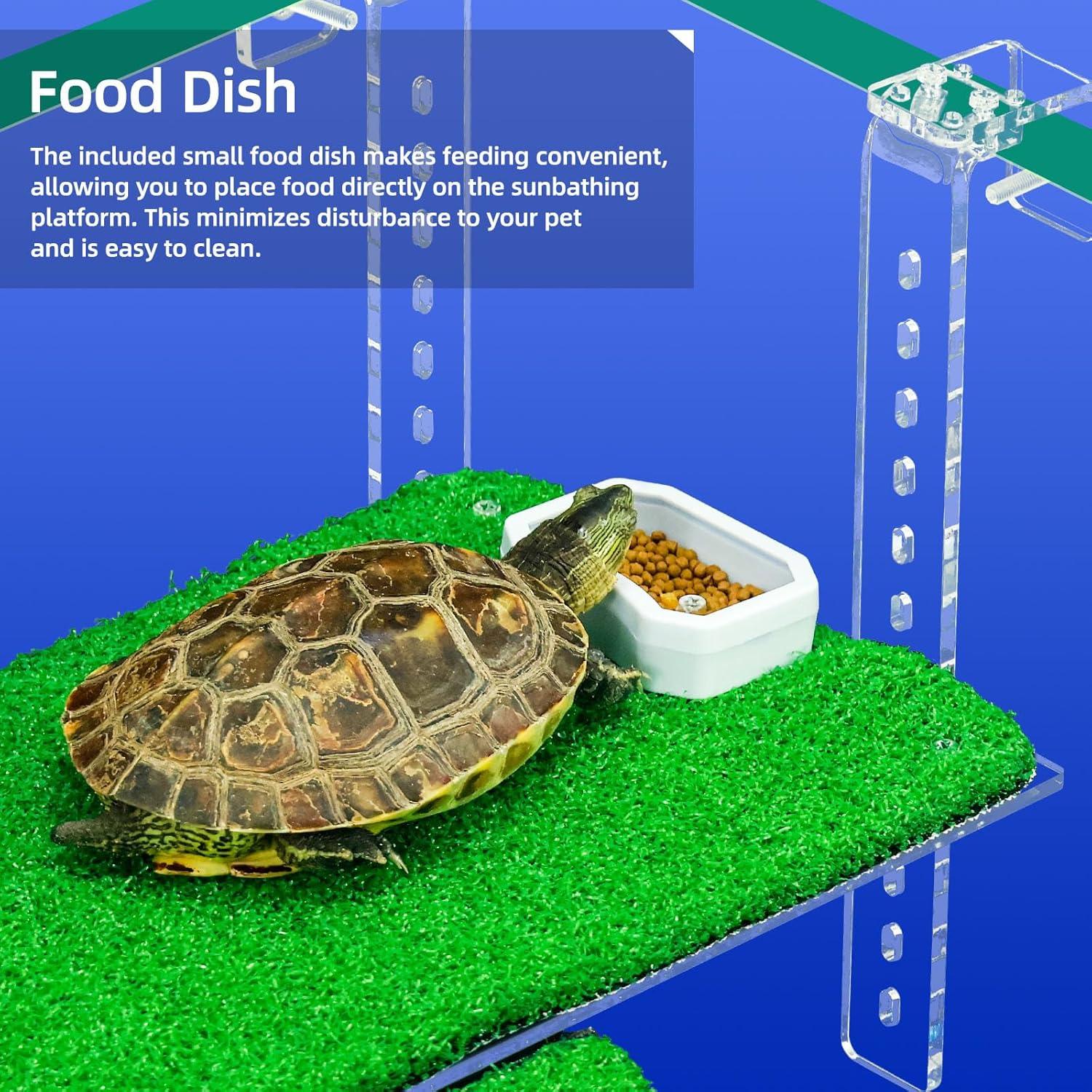 Muelle Colgante para Tortugas Bluecoco 27.94x14.73 cm Transparente