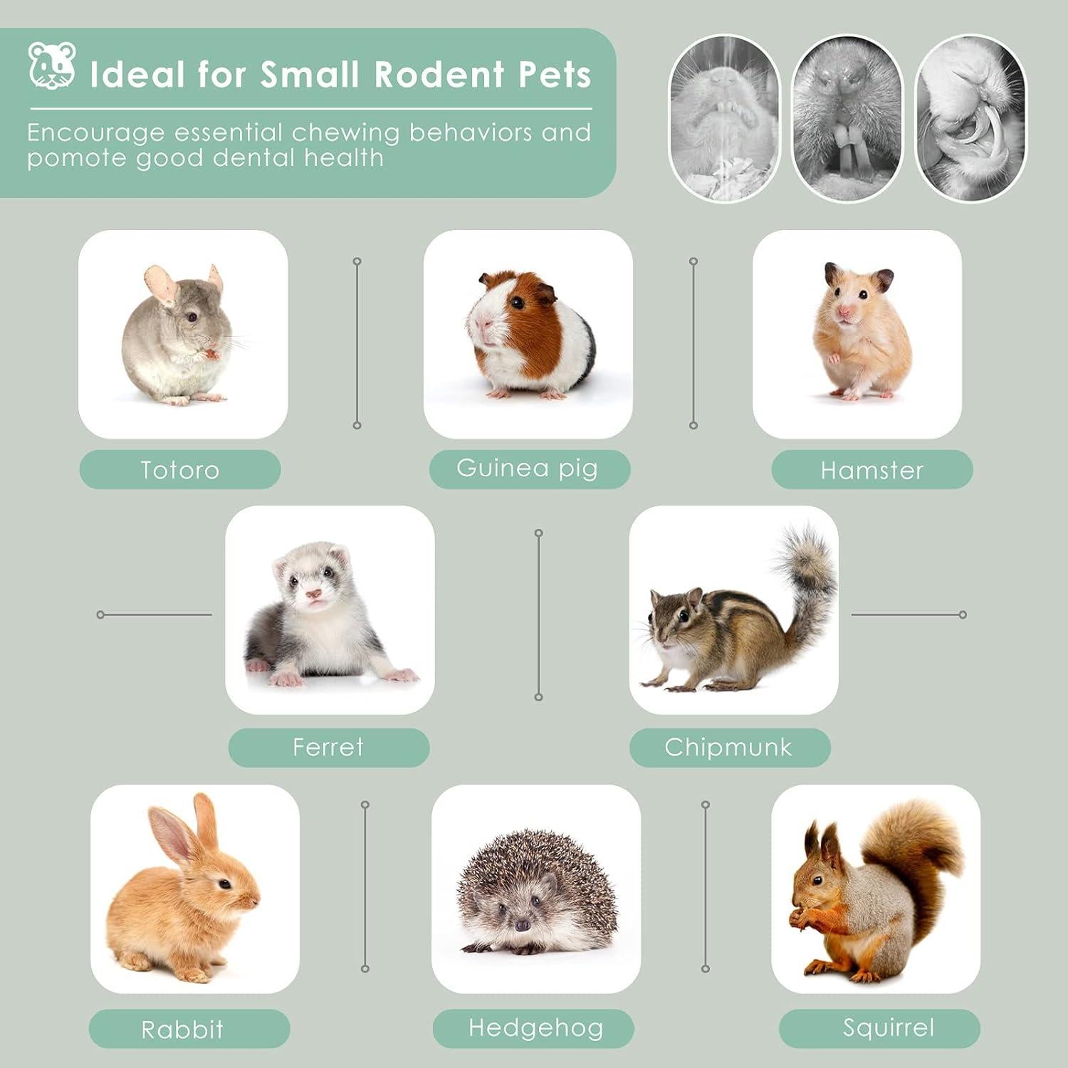 Palitos de Bambú Dulce Bissap 250g para Conejos y Roedores