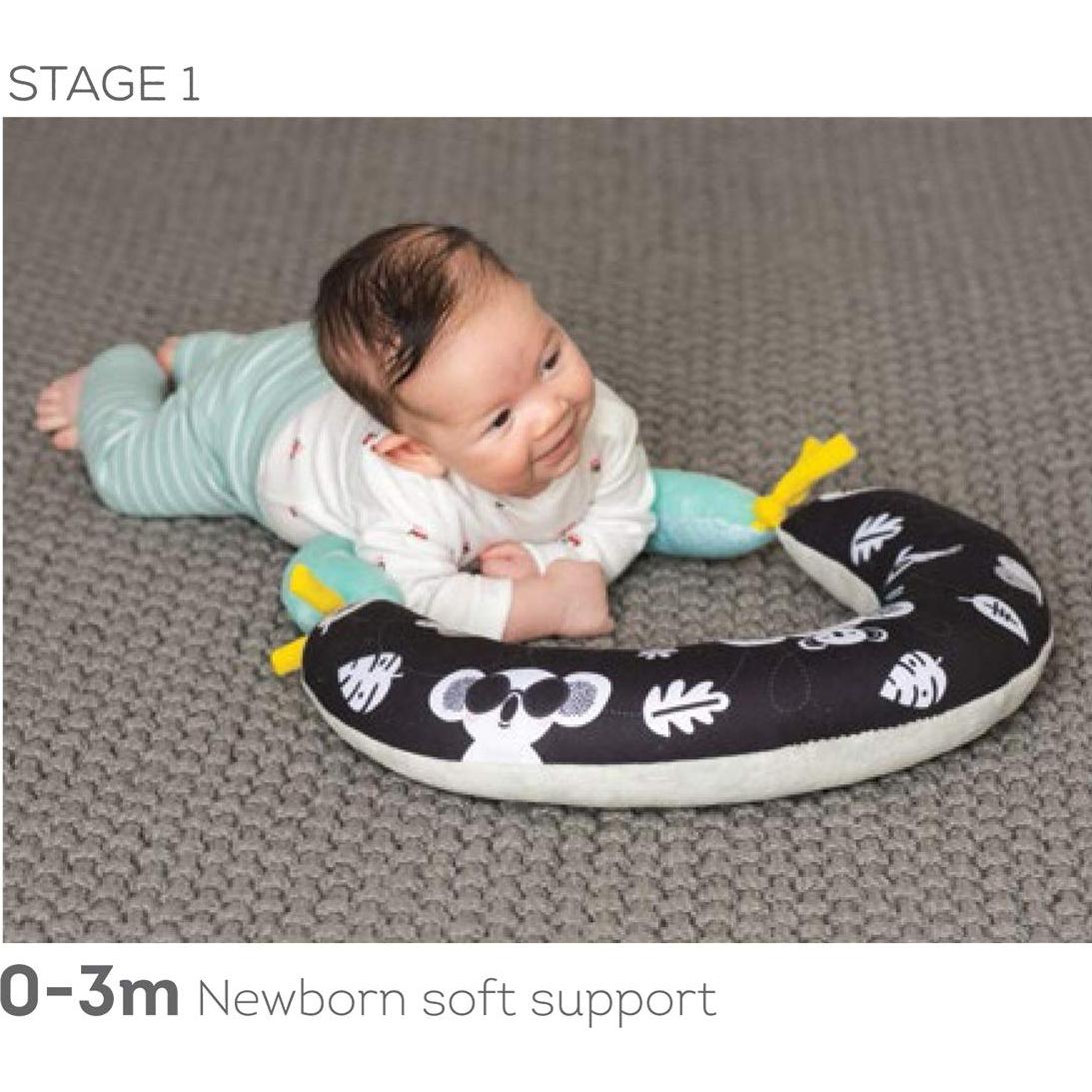 Cojín 2-en-1 Taf Toys para Bebés 0-6M - Panda Crinkle