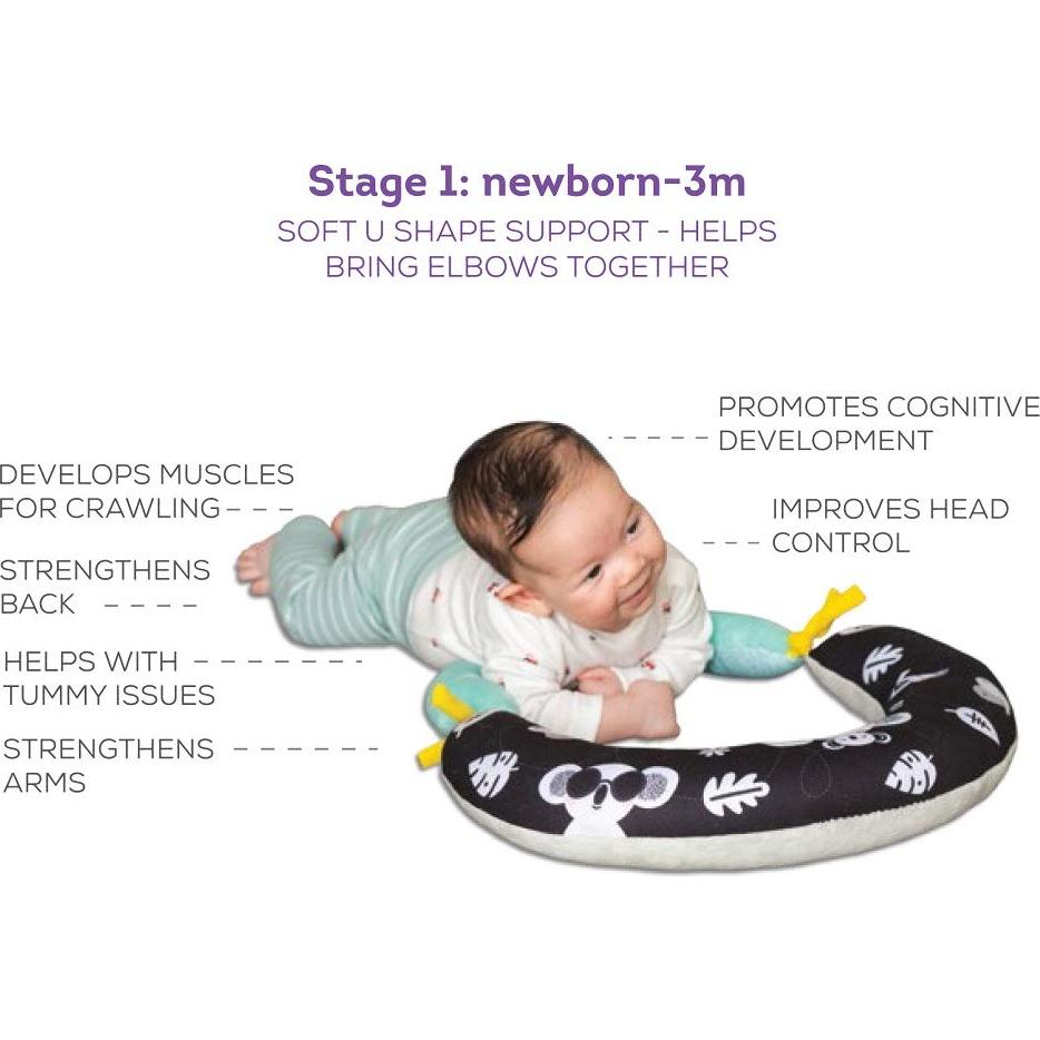 Cojín 2-en-1 Taf Toys para Bebés 0-6M - Panda Crinkle