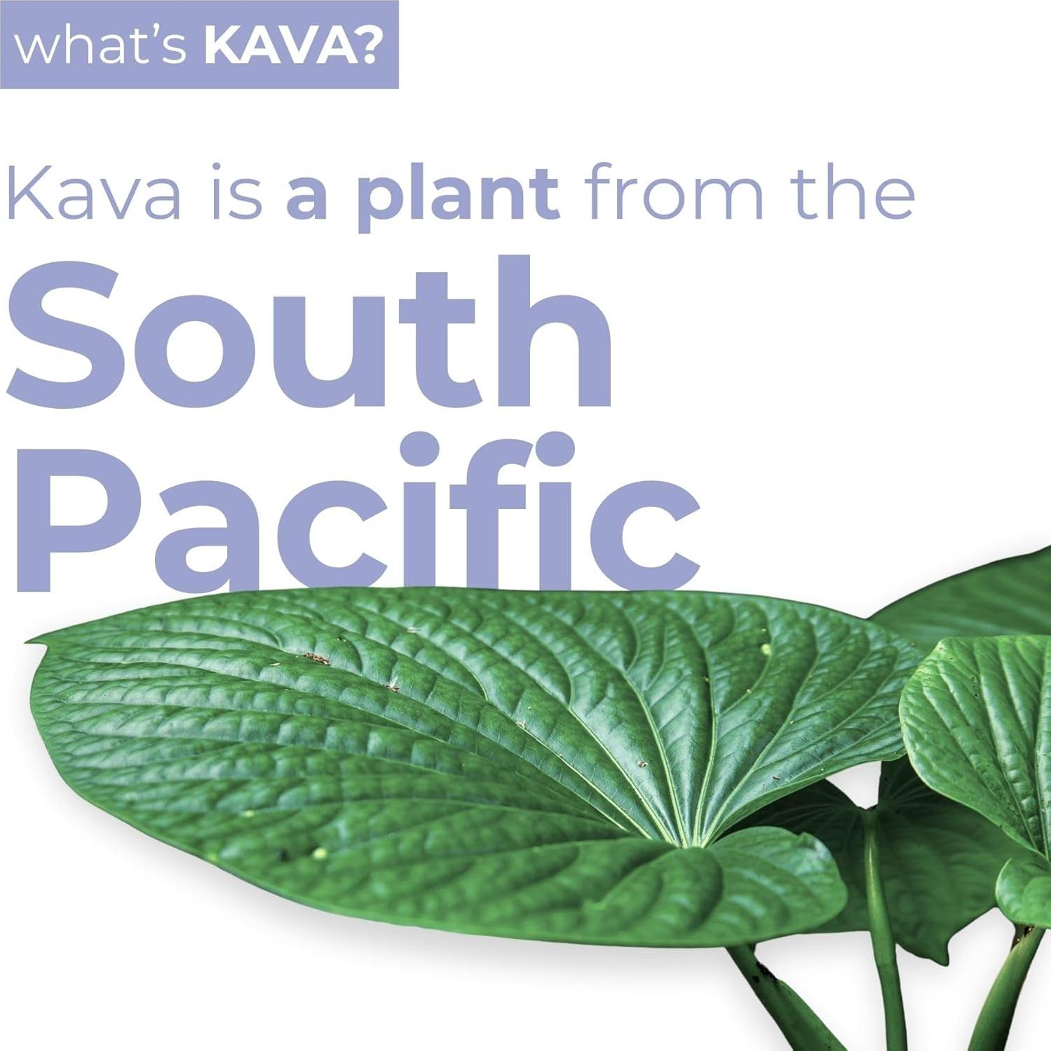 Bebida Espumosa de Relajación Leilo Naranja de Mora 12-Pack