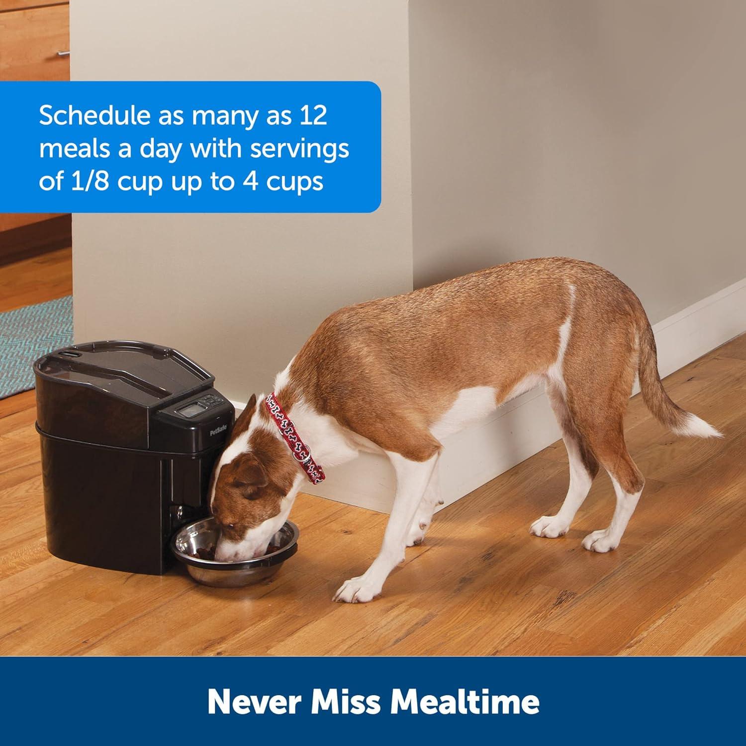 Comedero Automático PetSafe Simply Feed - 24 Tazas