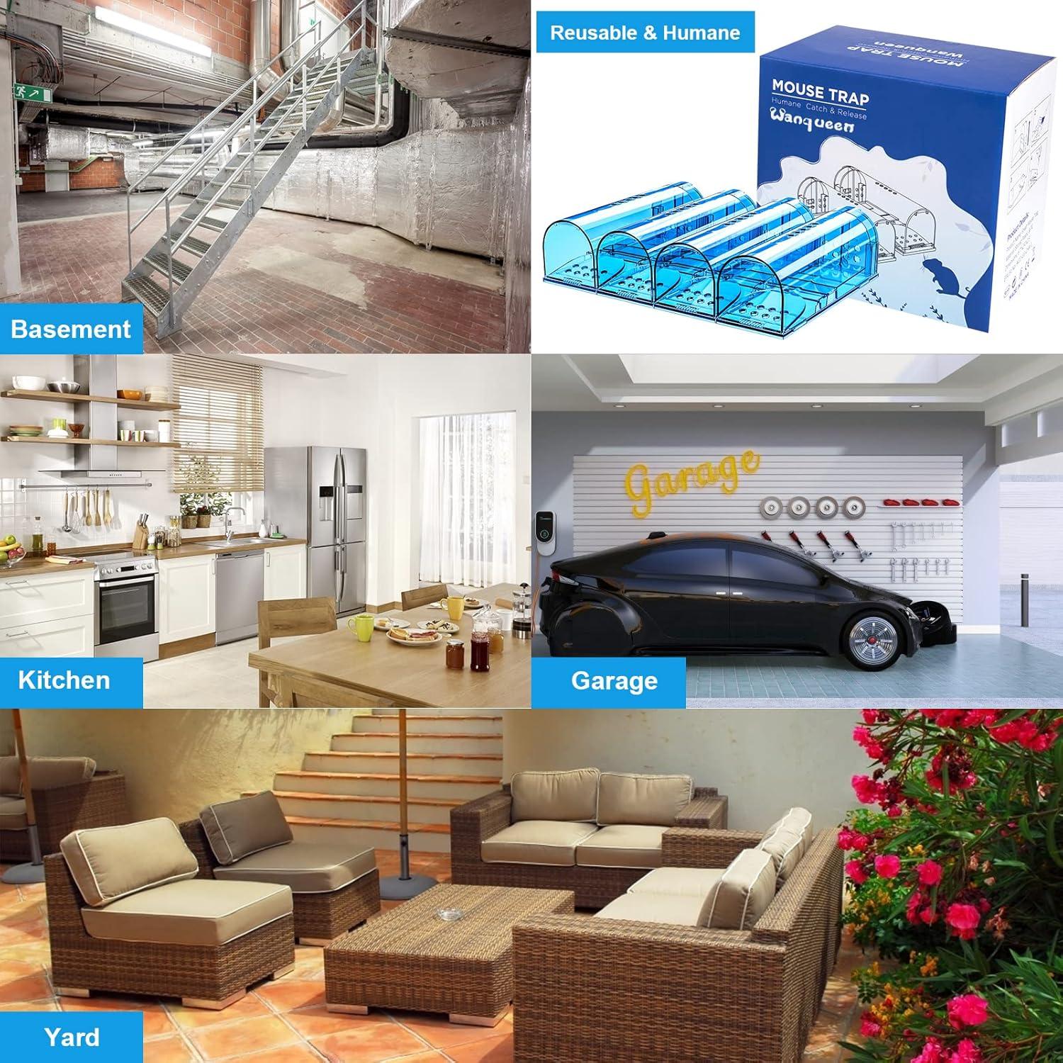 Trampas Humanas para Ratones Wanqueen 4 Pcs Reutilizables