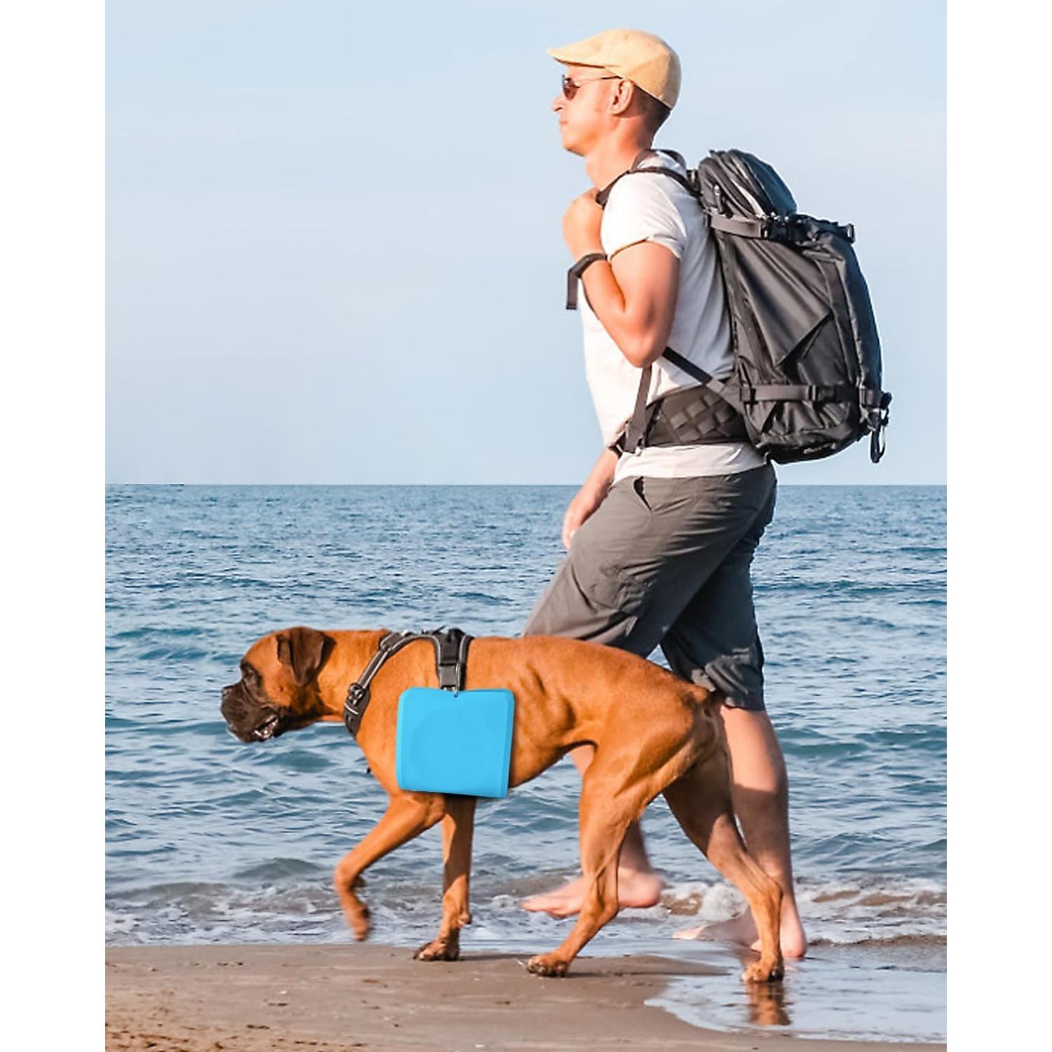 Cuenco Plegable 2-en-1 LPFLASAT para Perros y Gatos - Silicona Antideslizante