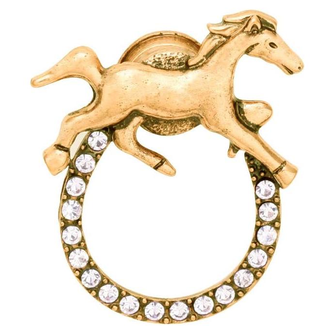 Broche Magnético de Herradura SENFAI para Gafas 4.2x3.7cm