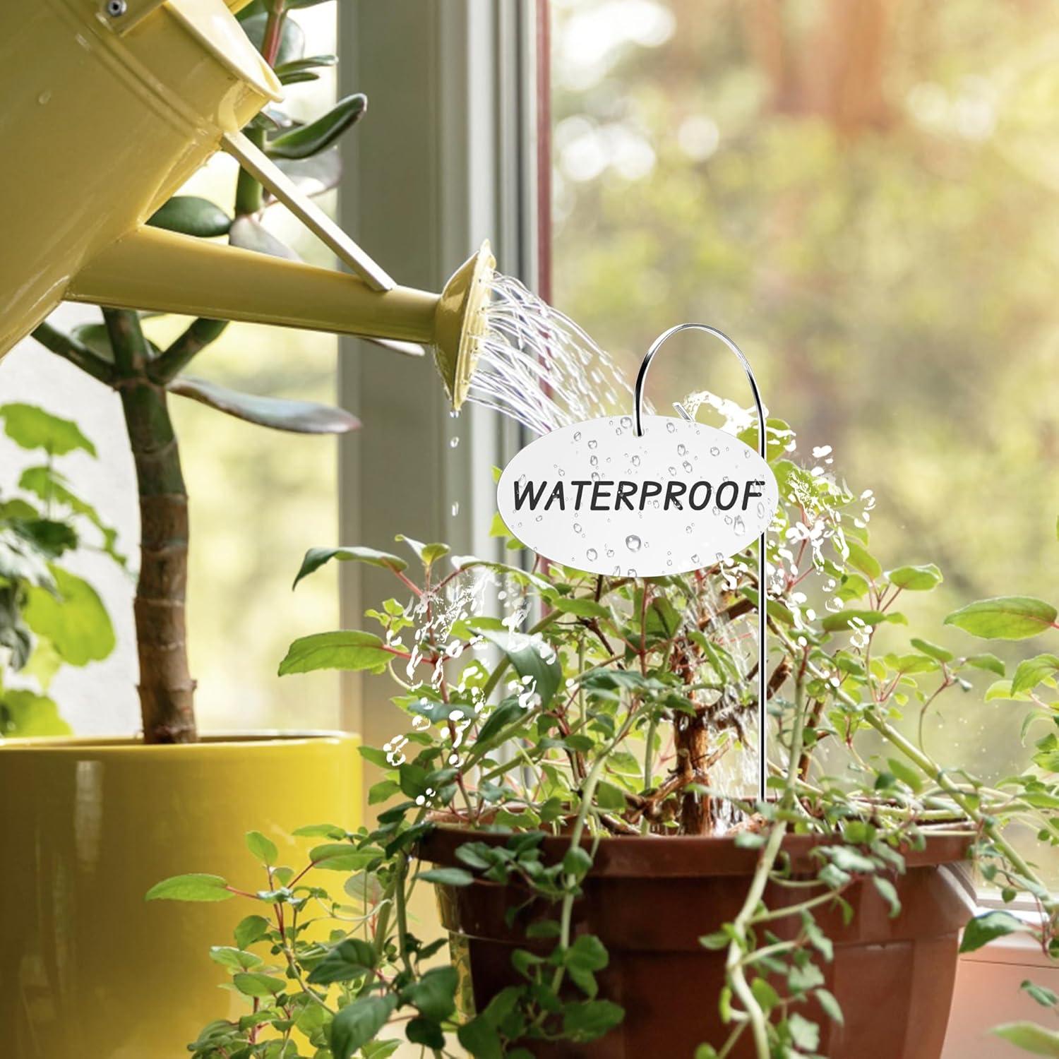 25 Etiquetas de Acrílico para Jardín Morledoa con Estacas