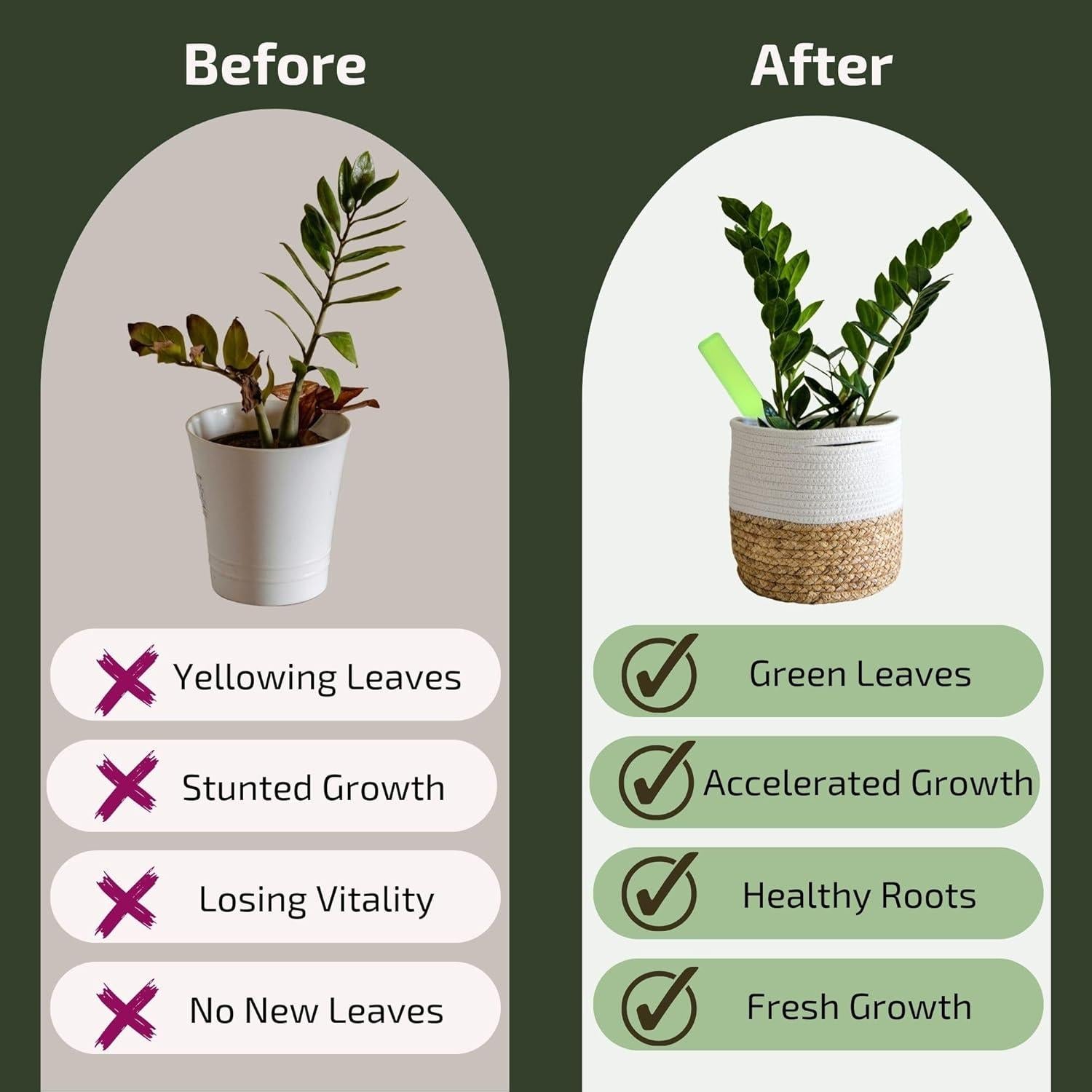 Fertilizante Líquido para Plantas de Interior AO Trading 340g