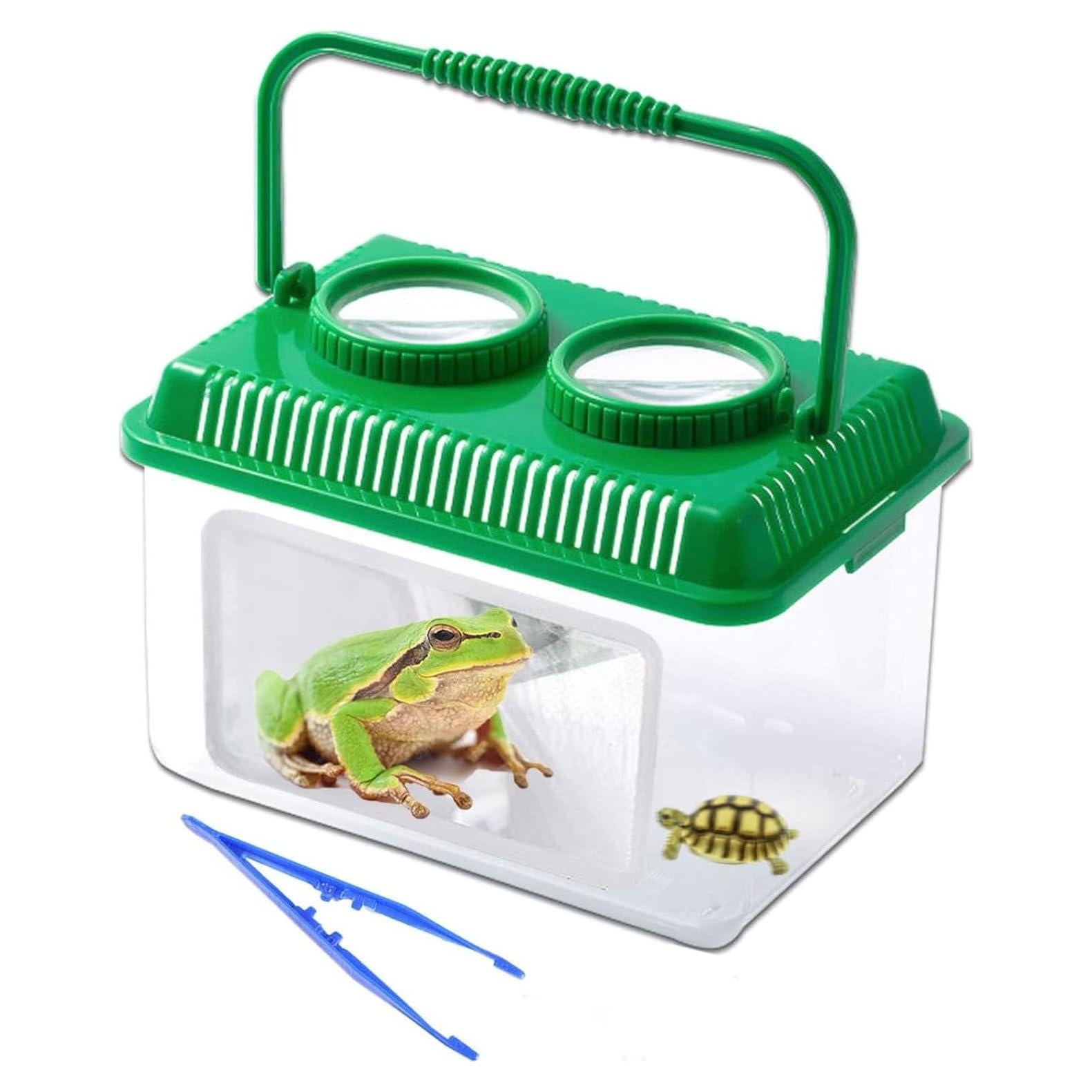 Kit de Captura de Insectos RORANIC con Lupa 5X y Contenedor Verde
