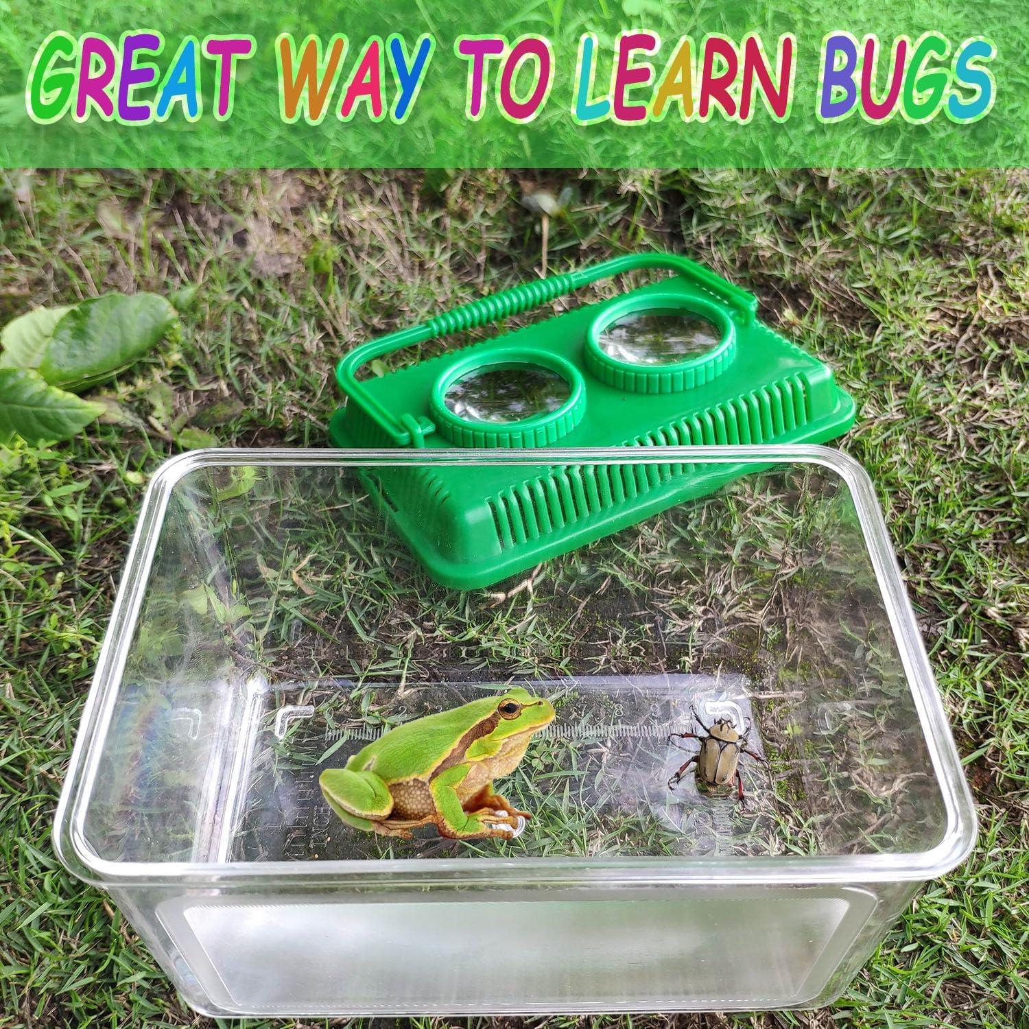 Kit de Captura de Insectos RORANIC con Lupa 5X y Contenedor Verde