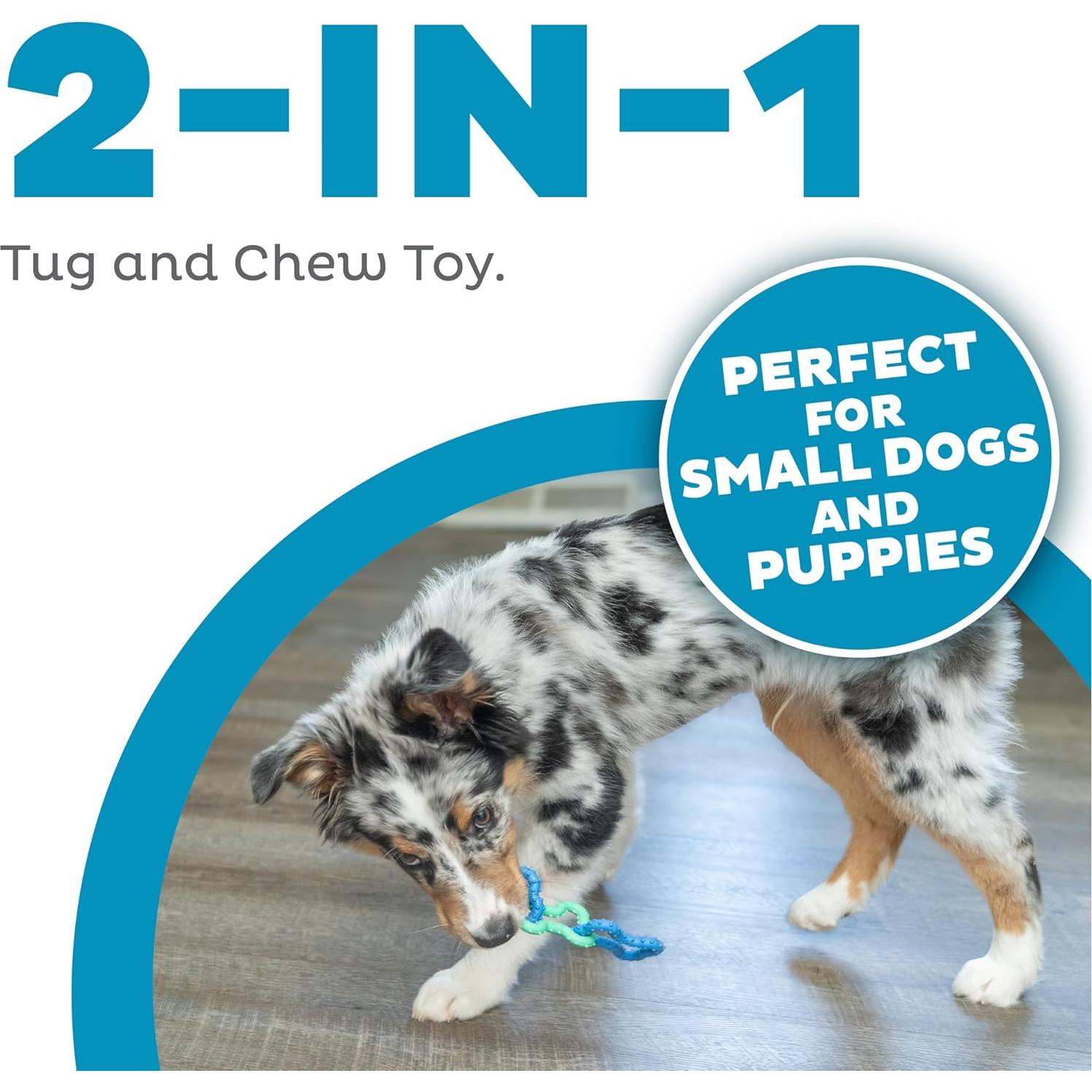 Juguete de Masticar para Perros Outward Hound Bone Tugz Azul