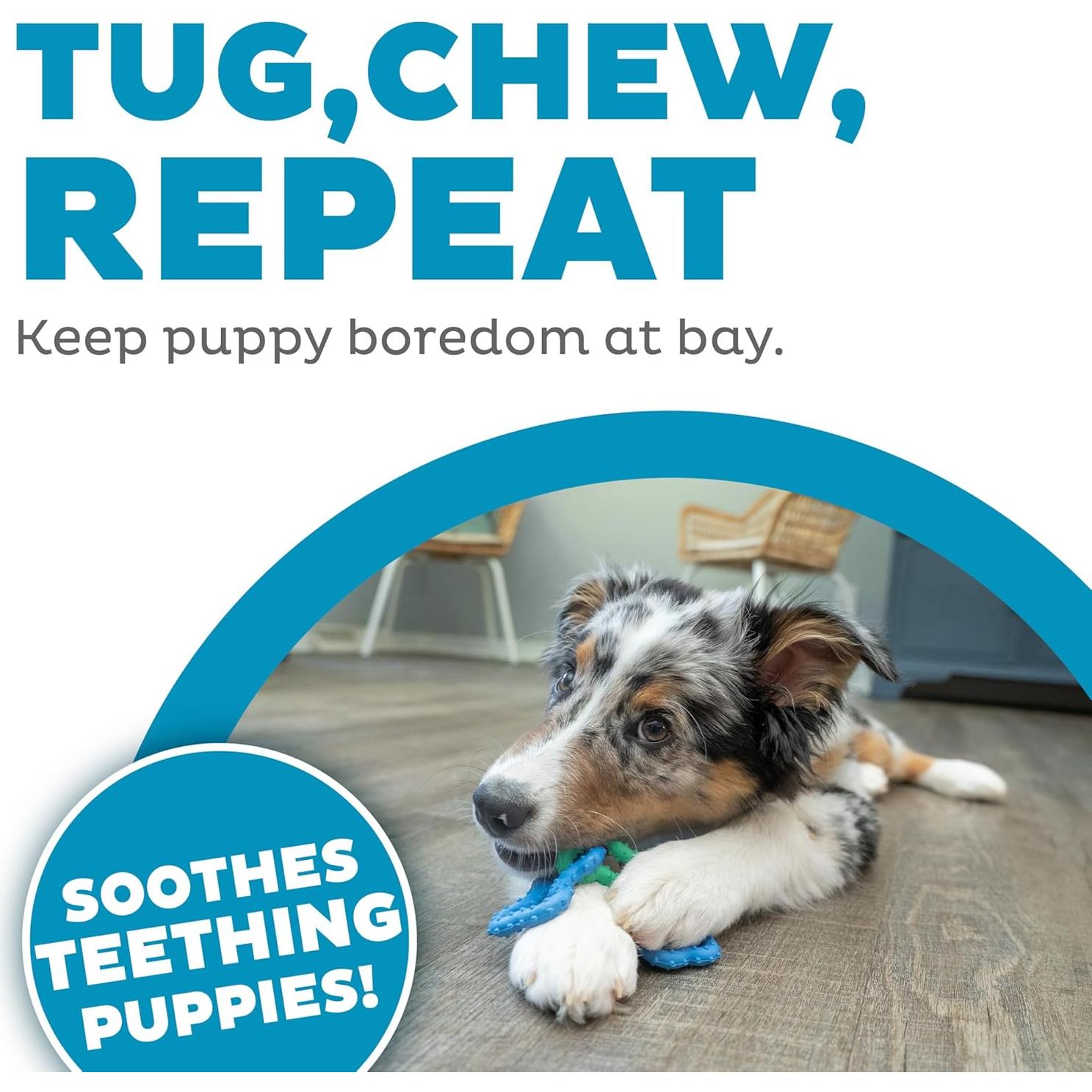 Juguete de Masticar para Perros Outward Hound Bone Tugz Azul