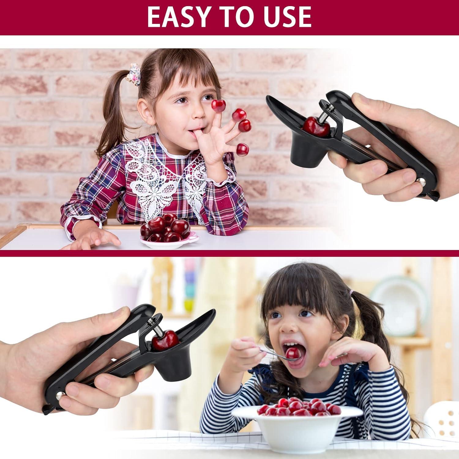 Deshuesador de Cerezas Firjuty Negro, Acero Inoxidable, 17x12cm