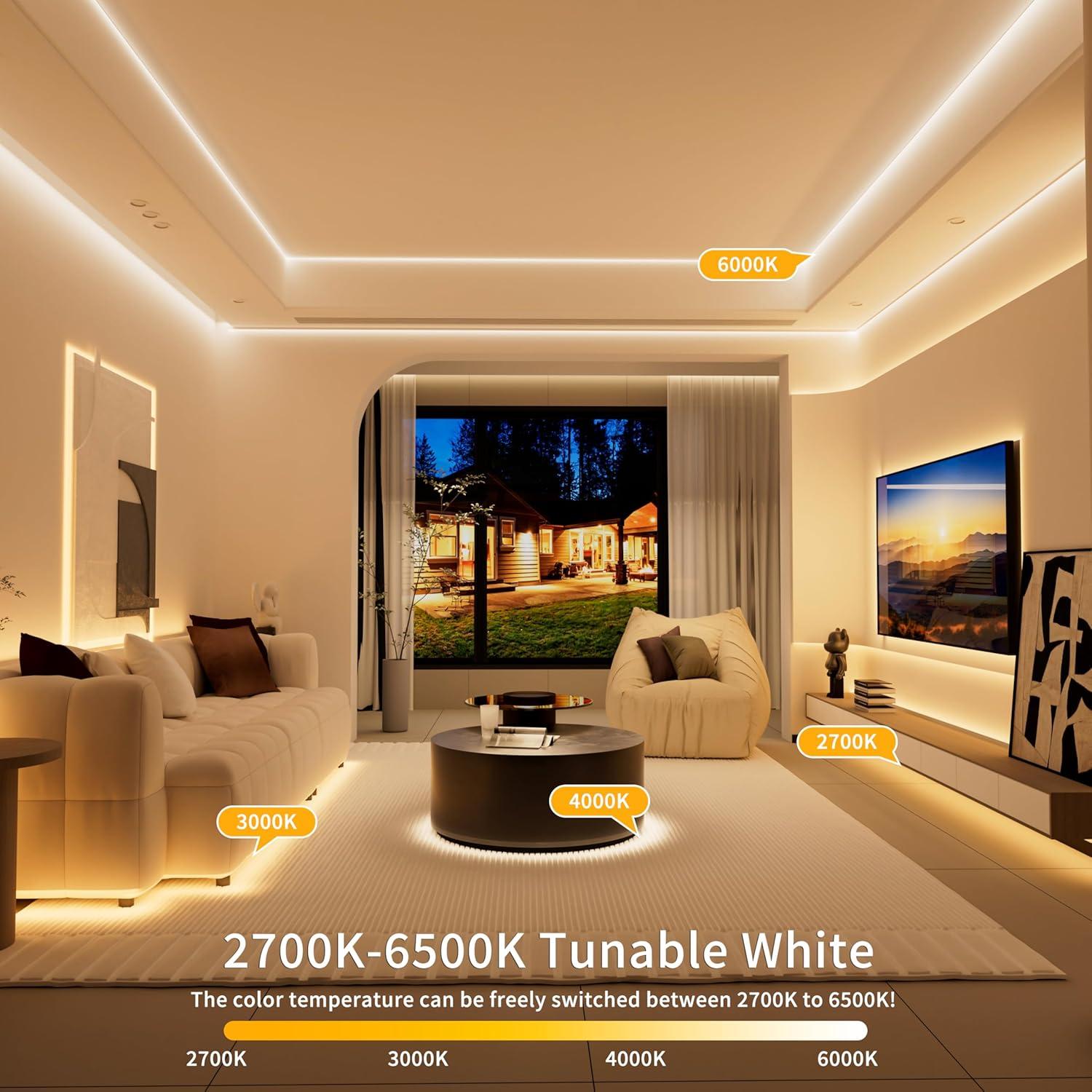 Tira LED COB PAUTIX 2m 2700K-6500K Dimmable con Control Remoto