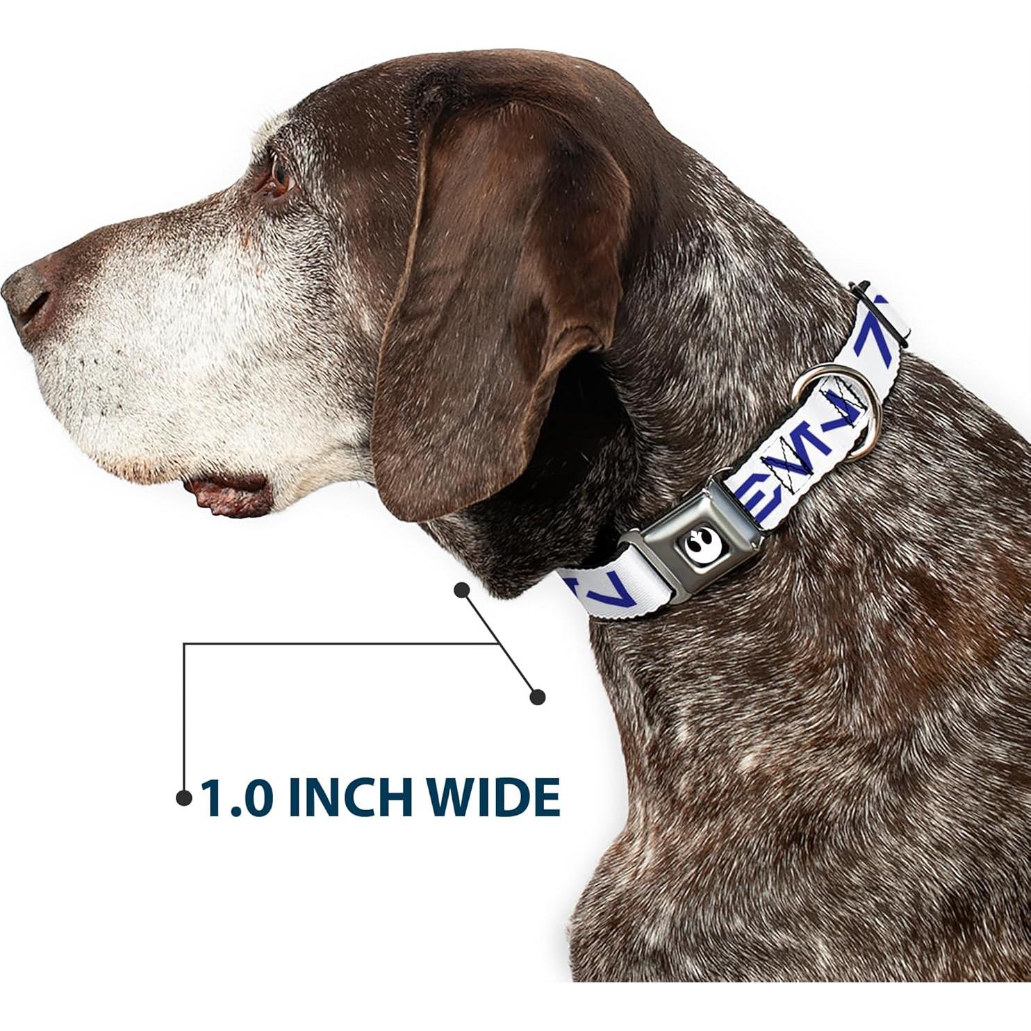 Collar para Perros Star Wars Buckle-Down 24.1-33 cm Azul