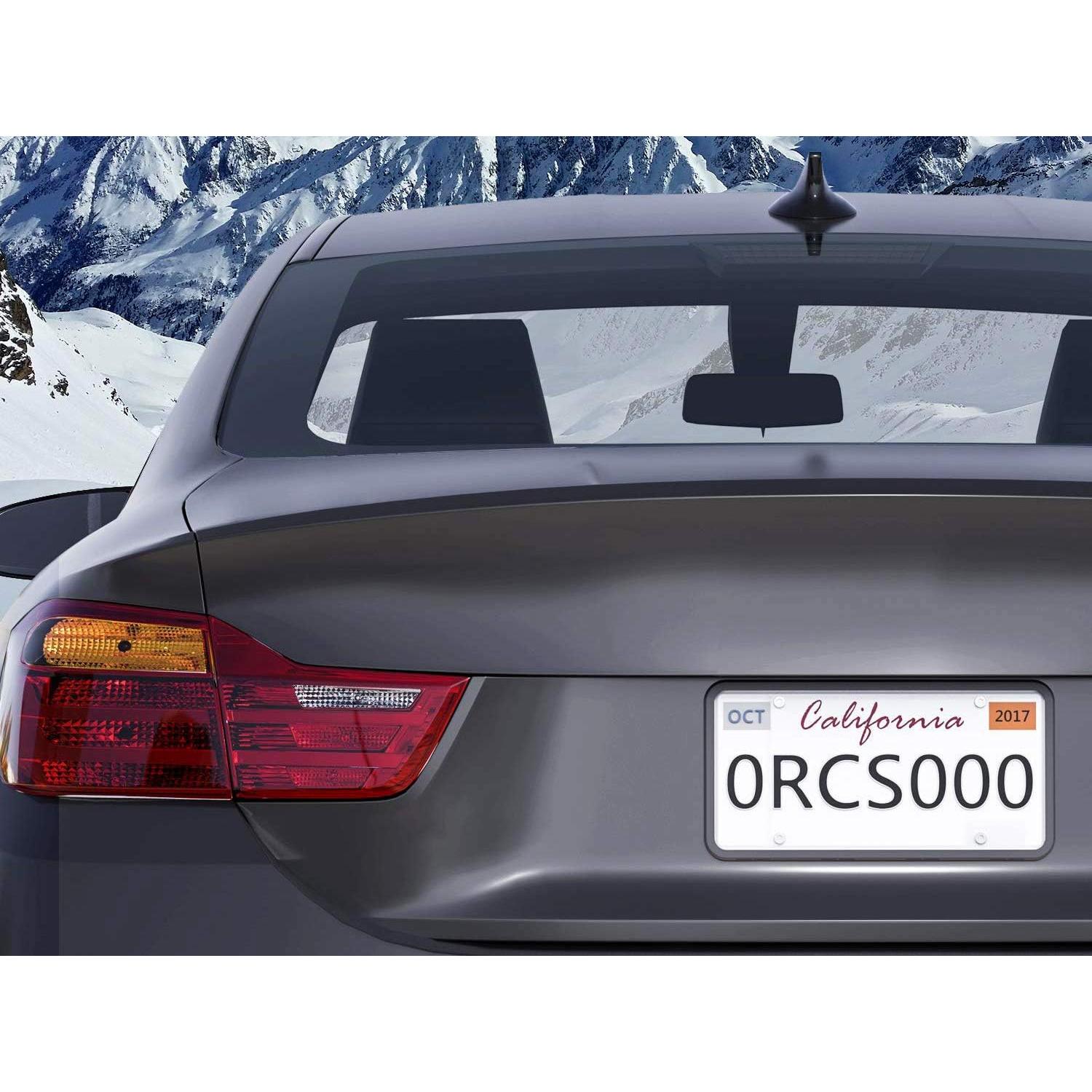 Soporte de Placa de Licencia LFPartS Acero Inoxidable Negro