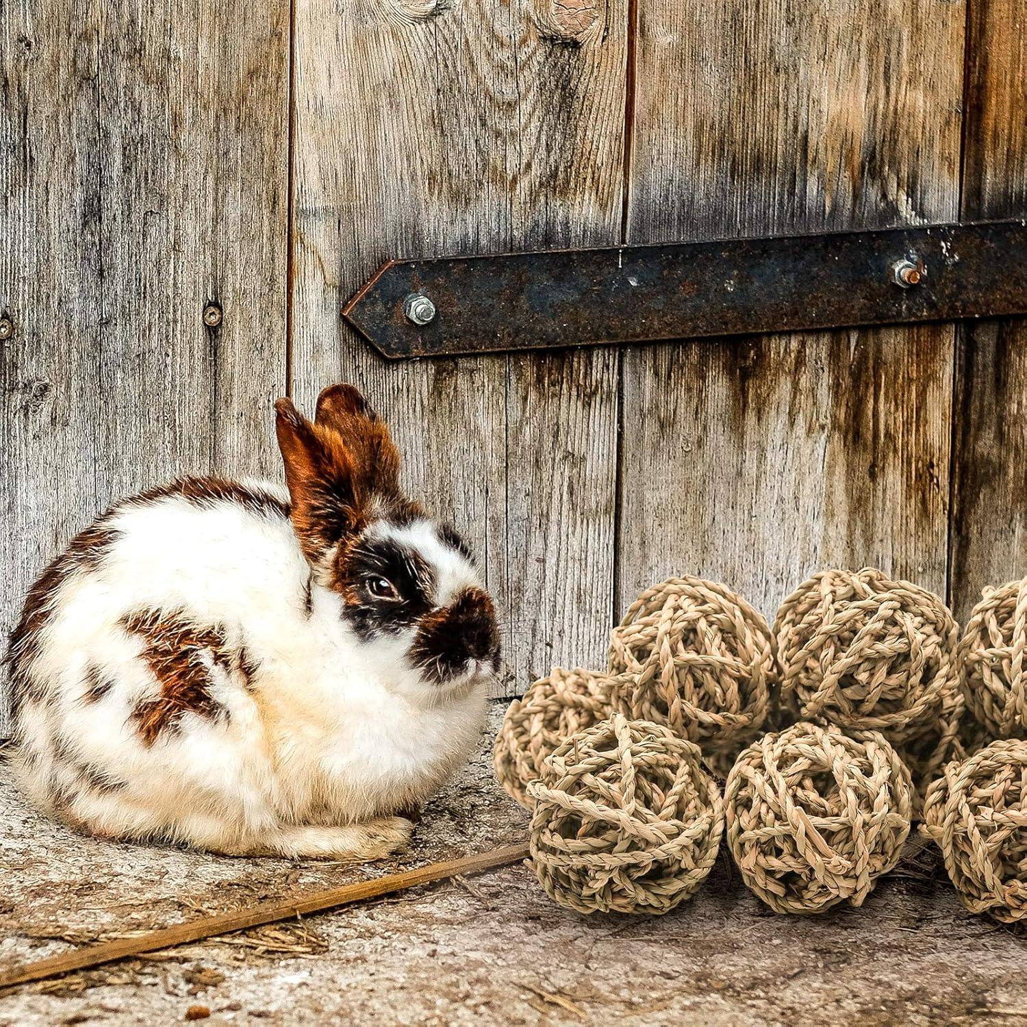 10 Pelotas de Juego Naturales para Conejos y Roedores Bac-kitchen