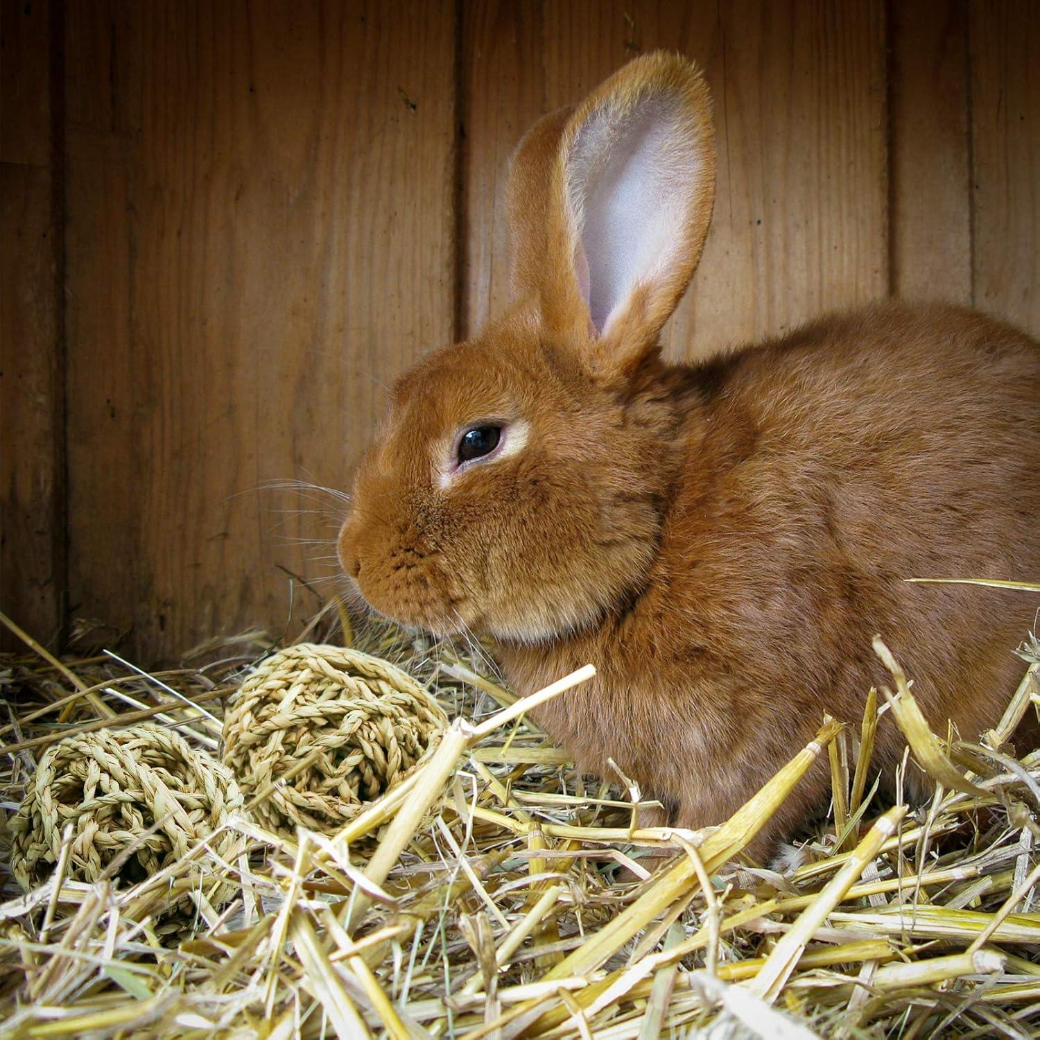 10 Pelotas de Juego Naturales para Conejos y Roedores Bac-kitchen